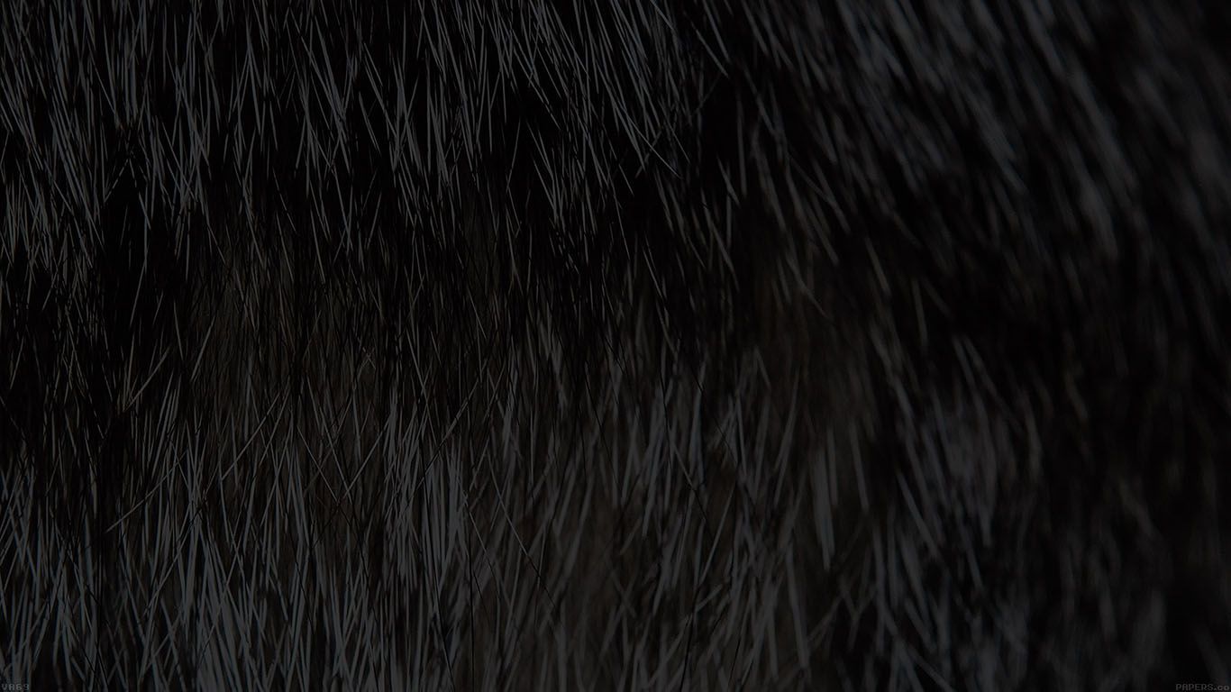 Black Fur Wallpapers on WallpaperDog