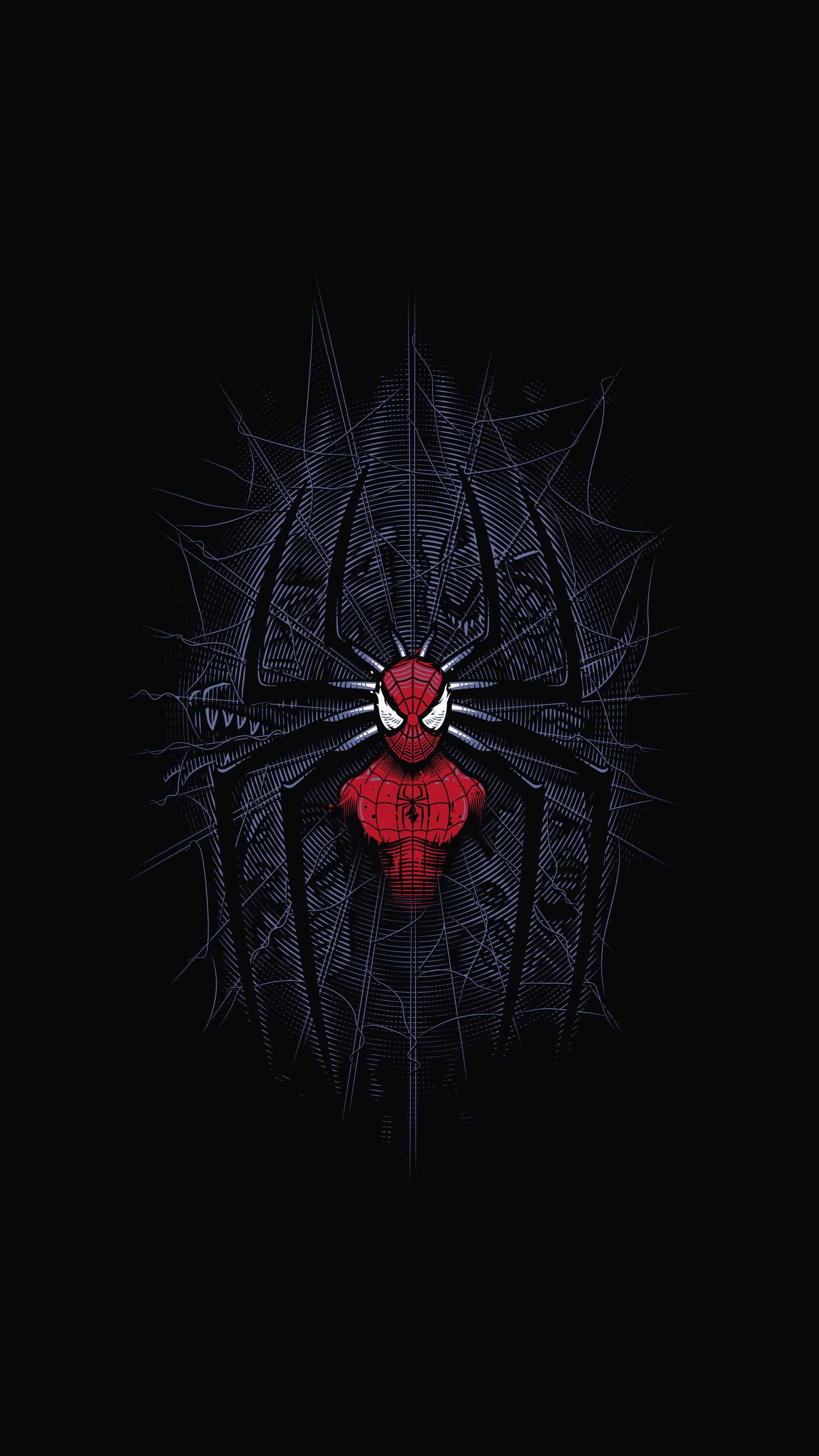 Spider-Man Web Wallpapers on WallpaperDog