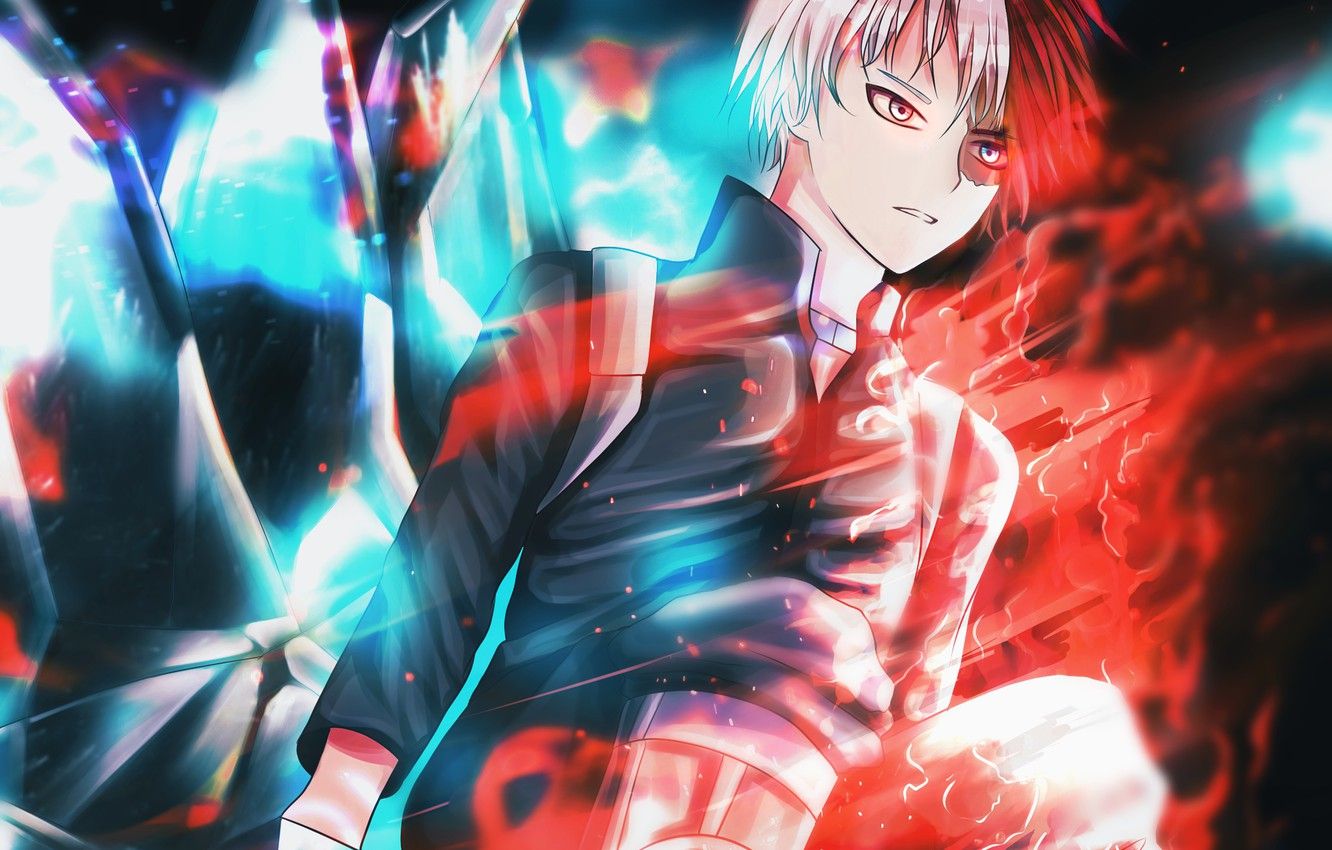 Todoroki Shouto Wallpapers on WallpaperDog