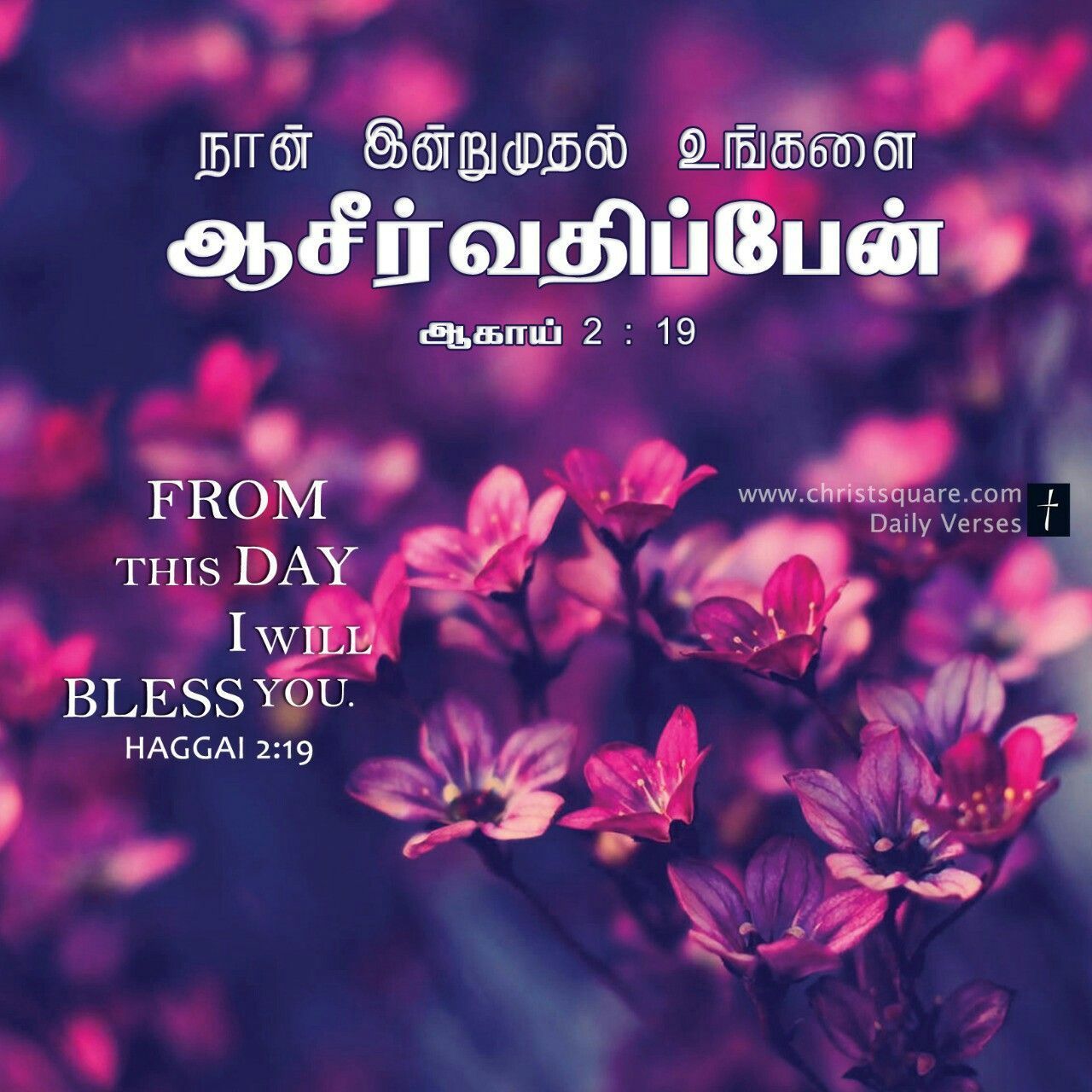 O Enthan Ullam Lyrics Song Chords PPT - ஓ எந்தன் உள்ளம் நீர் வந்ததால்-Tamil  Christians Songs Lyrics, Wallpapers, Devotional | Christsquare