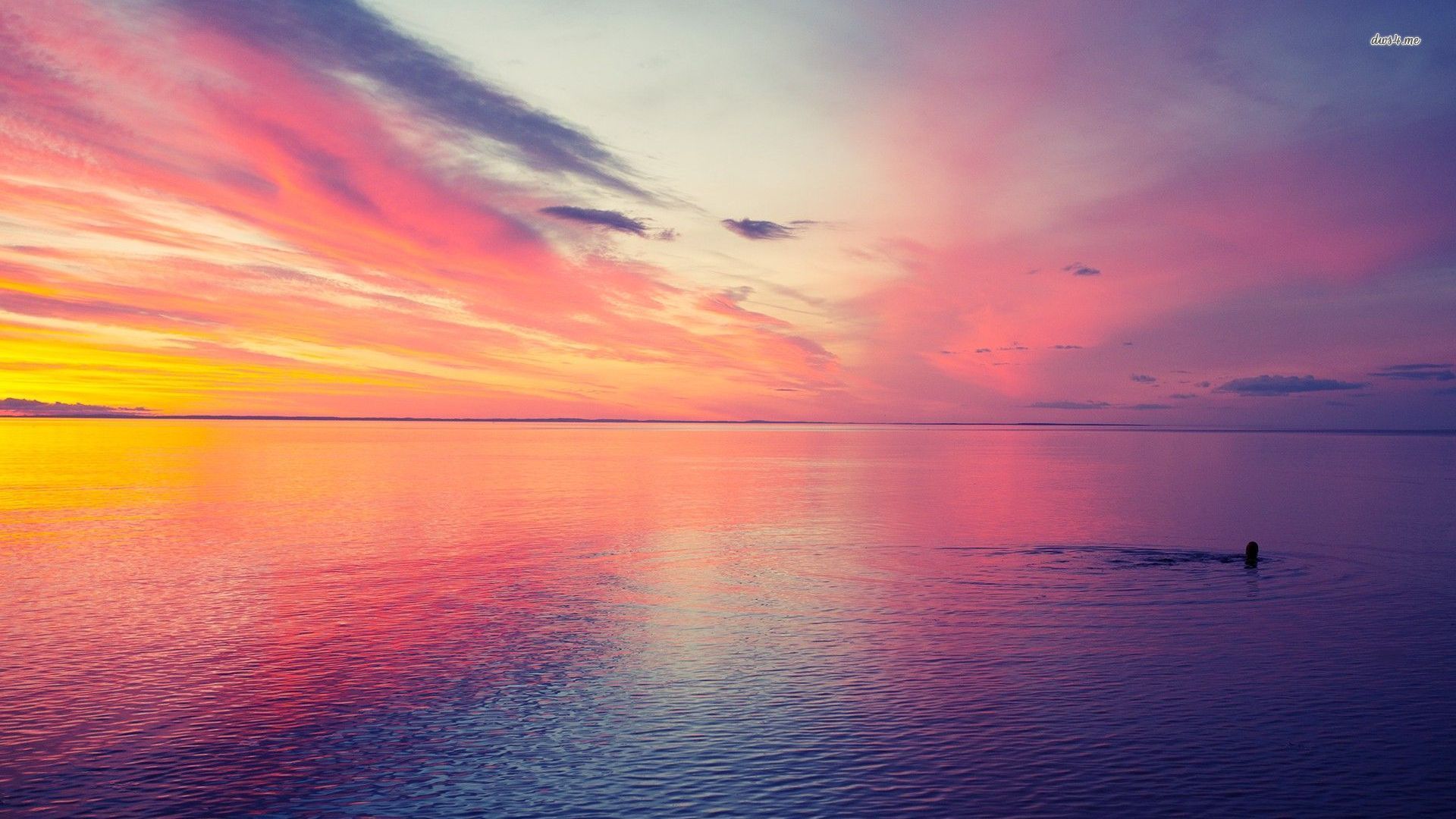 Pink Sunset Beach Images  Free Download on Freepik