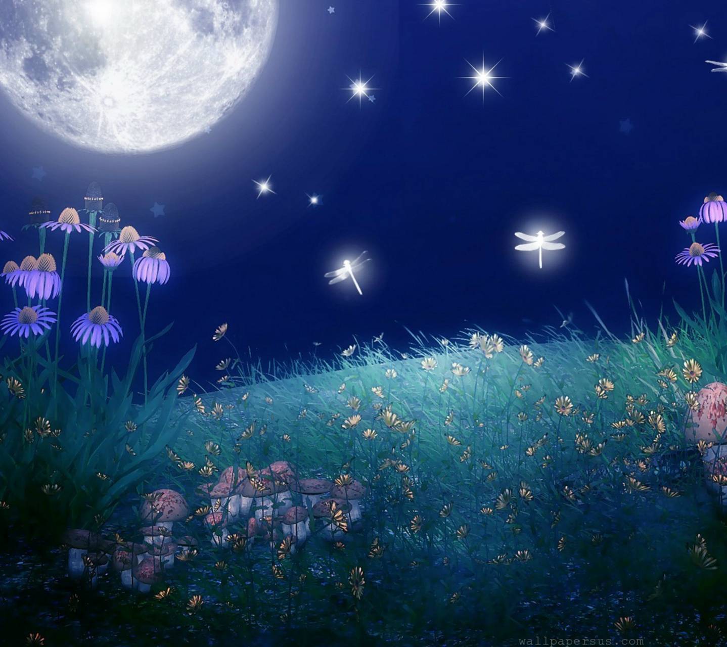 Звук летней ночи. Волшебное небо. Фантастическая Луна. Летняя ночь фон. Лето ночь Луна цветы.