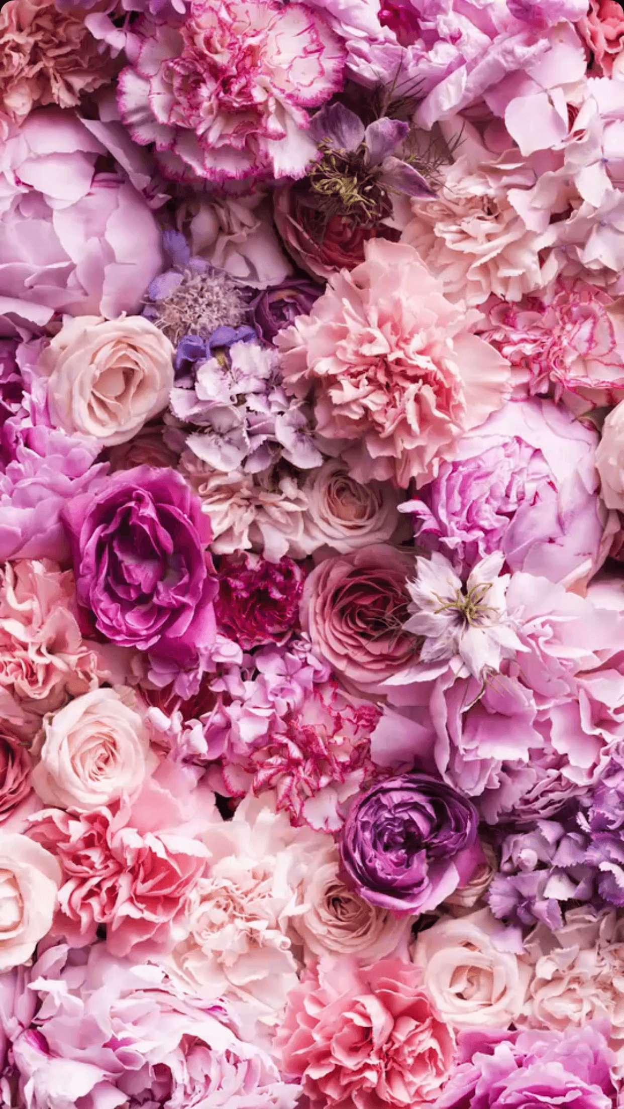 Floating roses wallpaper pink by xRebelYellx on DeviantArt
