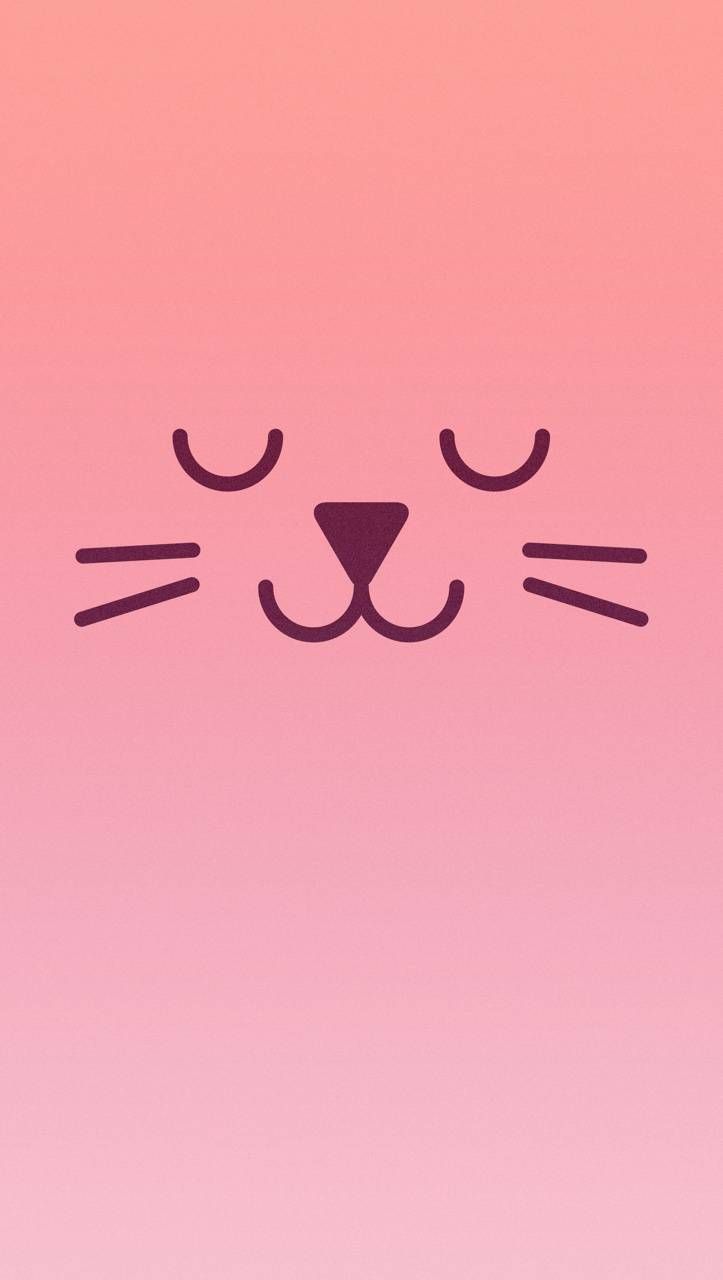 A cute white cat with pink background Royalty Free Vector