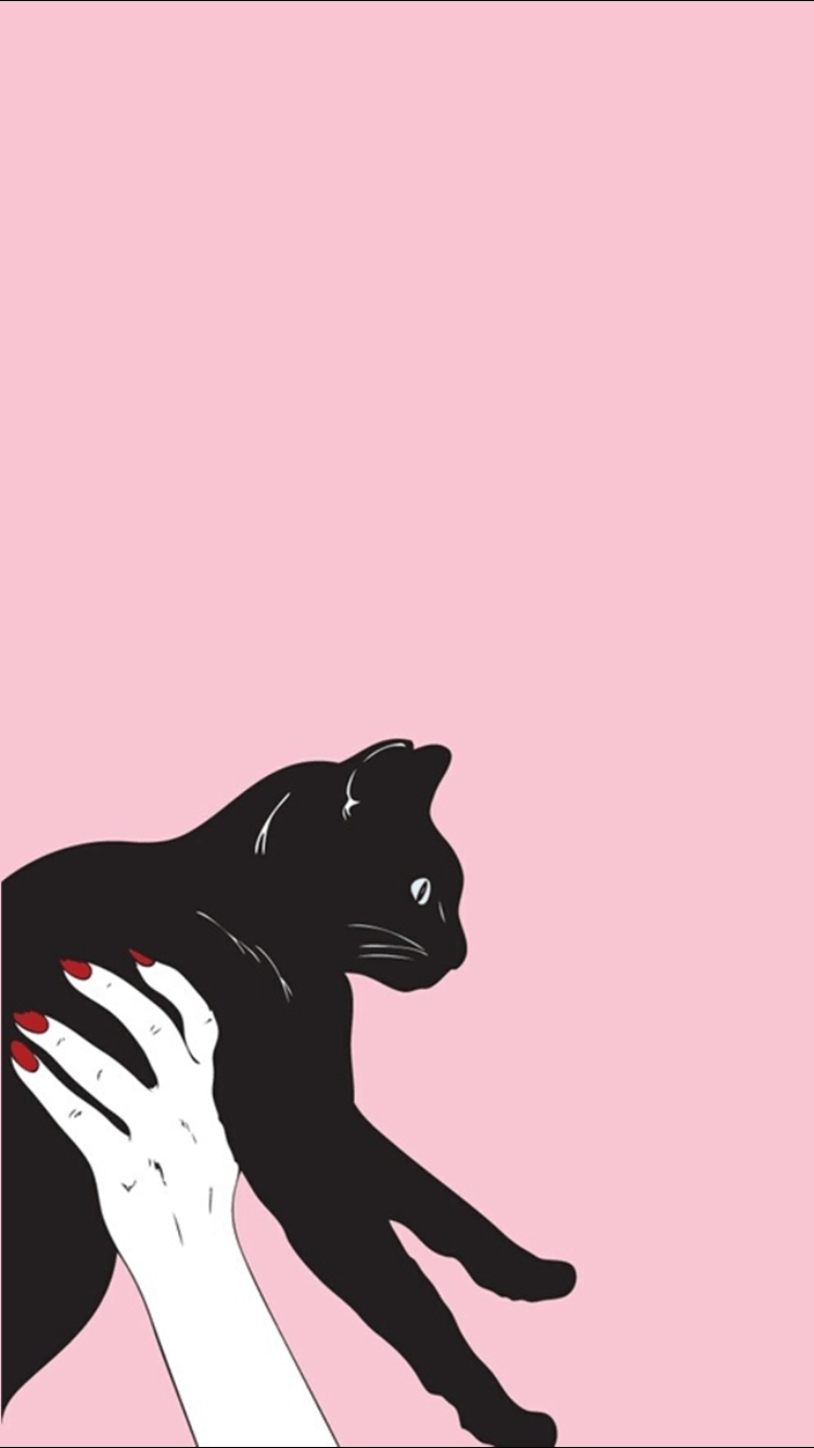 Free iPhone Cute Black Cat Wallpaper  Black cat aesthetic Black cat  pictures Cute black cats