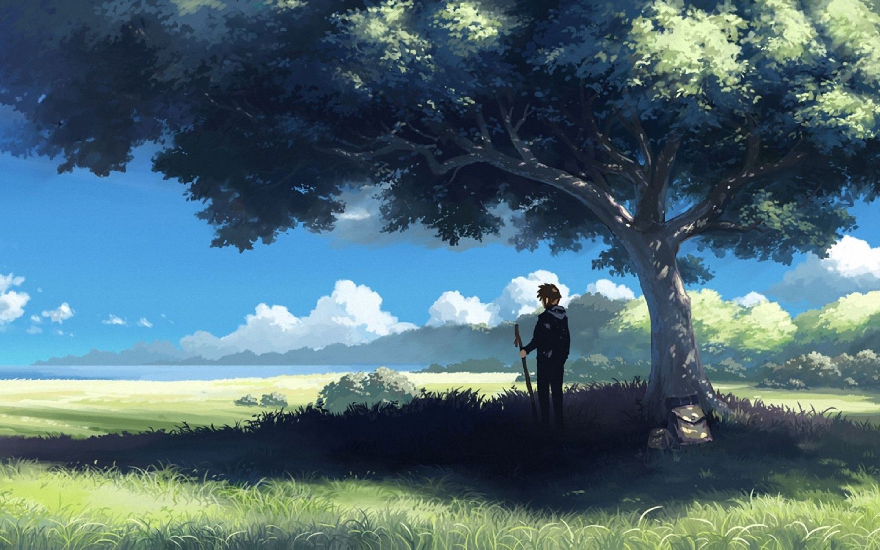 Scenery Anime Tree Background For Desktop 452 1772 Wallpaper  Anime  scenery wallpaper Scenery wallpaper Anime background