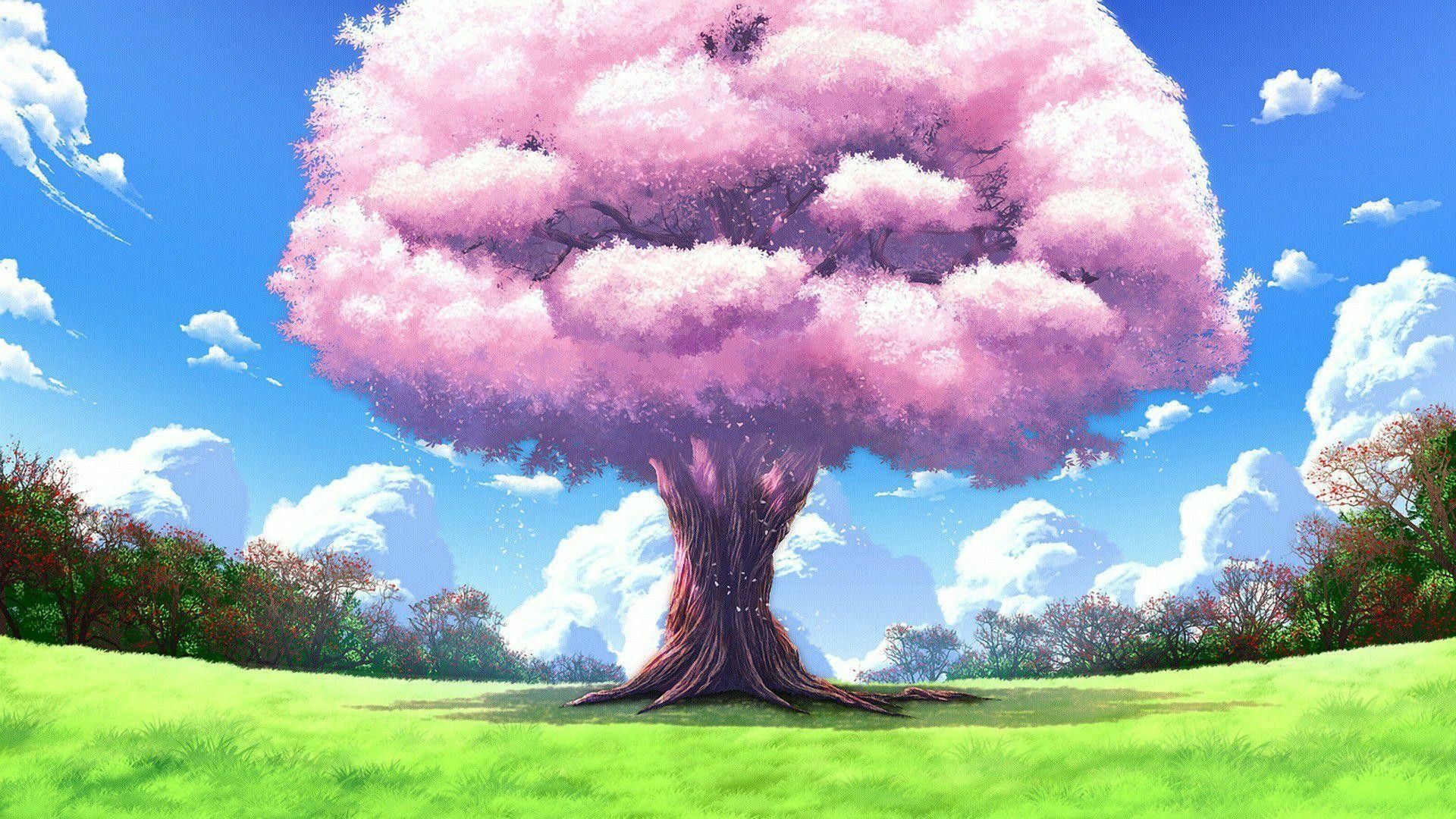 Anime Tree Wallpapers on WallpaperDog