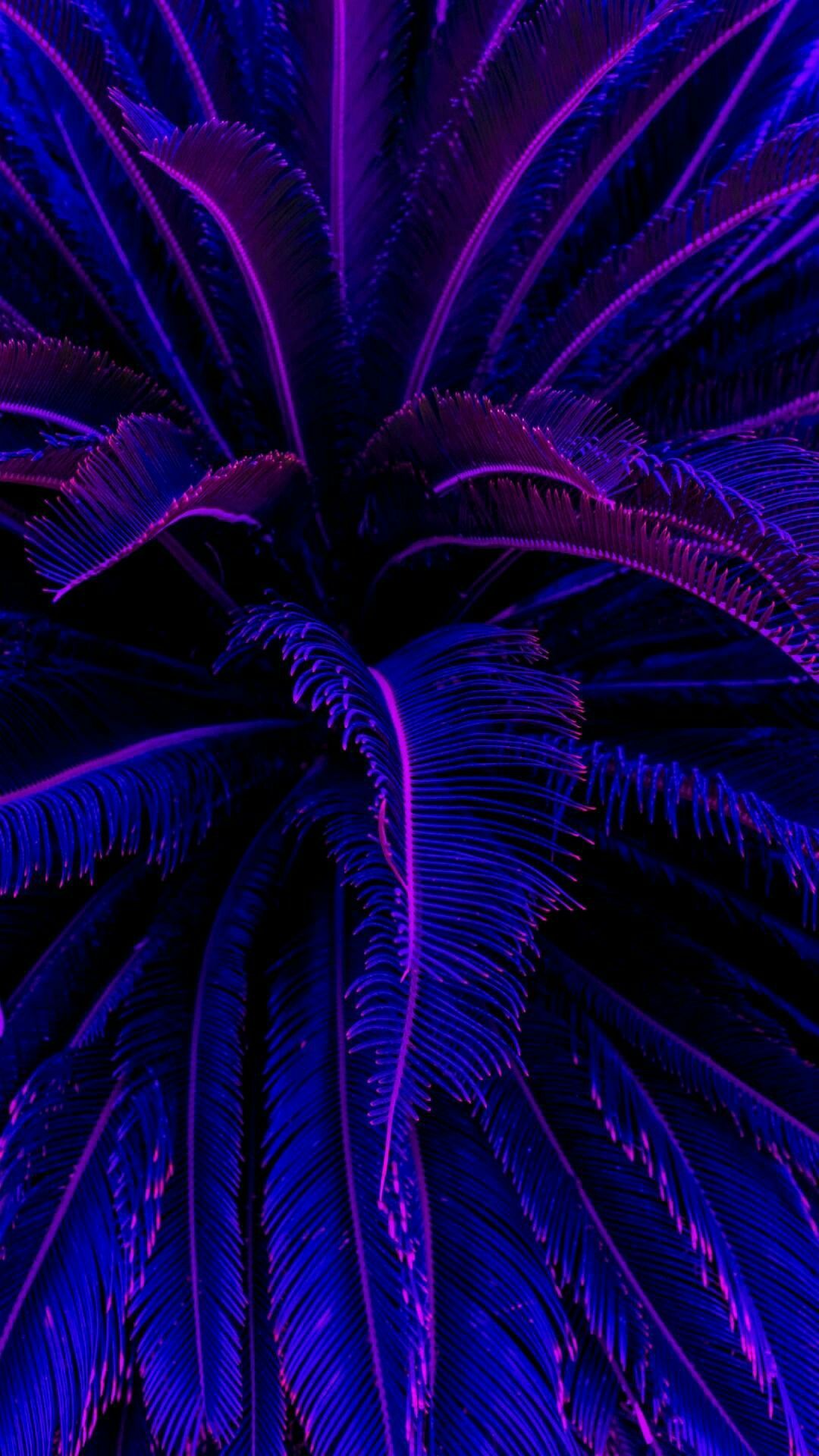 Purple Neon Images  Free Download on Freepik