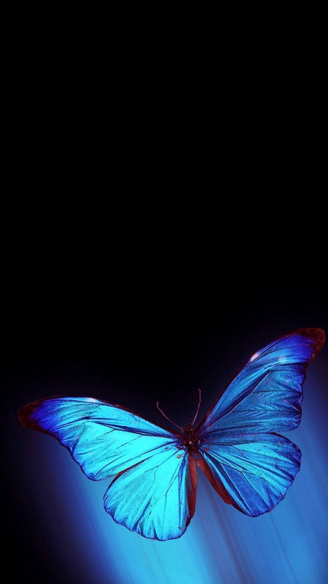 IPhone For Spring 10 Butterfly iPhone  Blue Butterfly Aesthetic Yellow  and Blue Butterfly HD phone wallpaper  Pxfuel