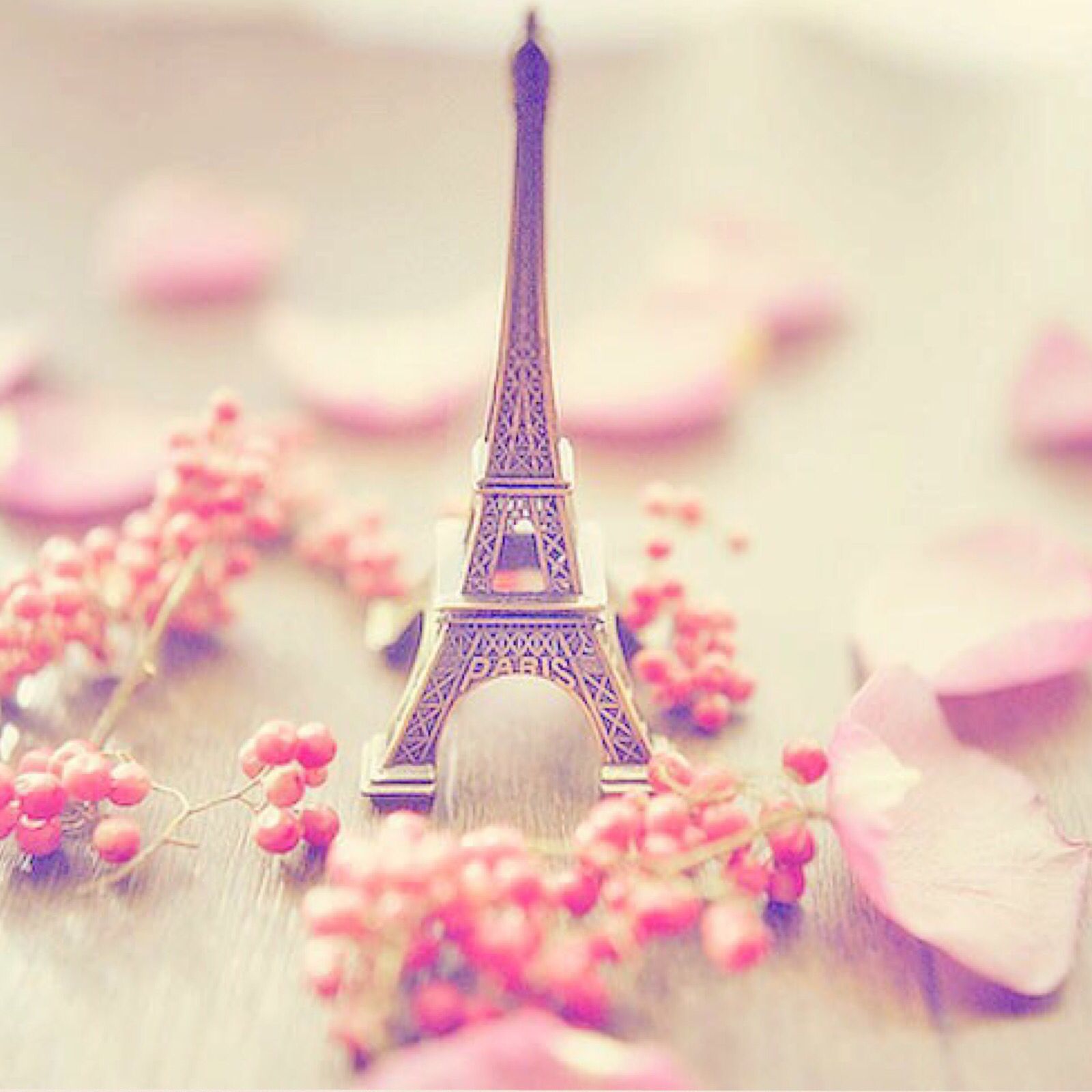 Cute paris HD live wallpaper APK for Android Download