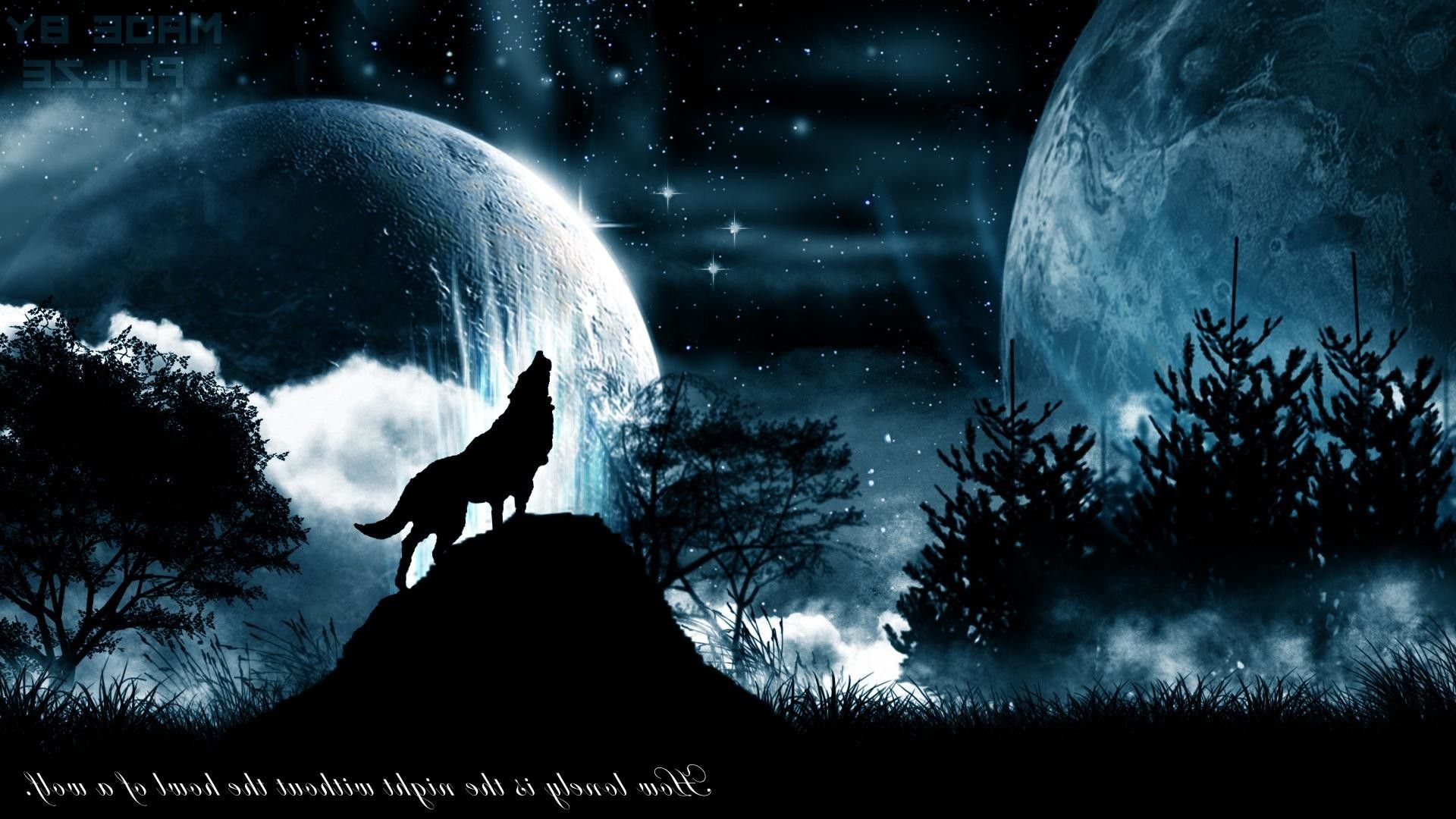 Wolf howling 1080P 2K 4K 5K HD wallpapers free download  Wallpaper Flare