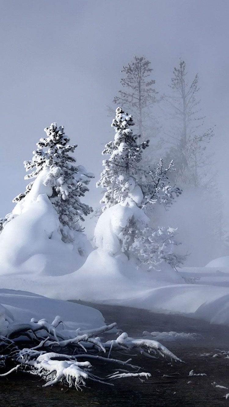 Free HD Winter Wallpaper Backgrounds For iPhone  Glory of the Snow