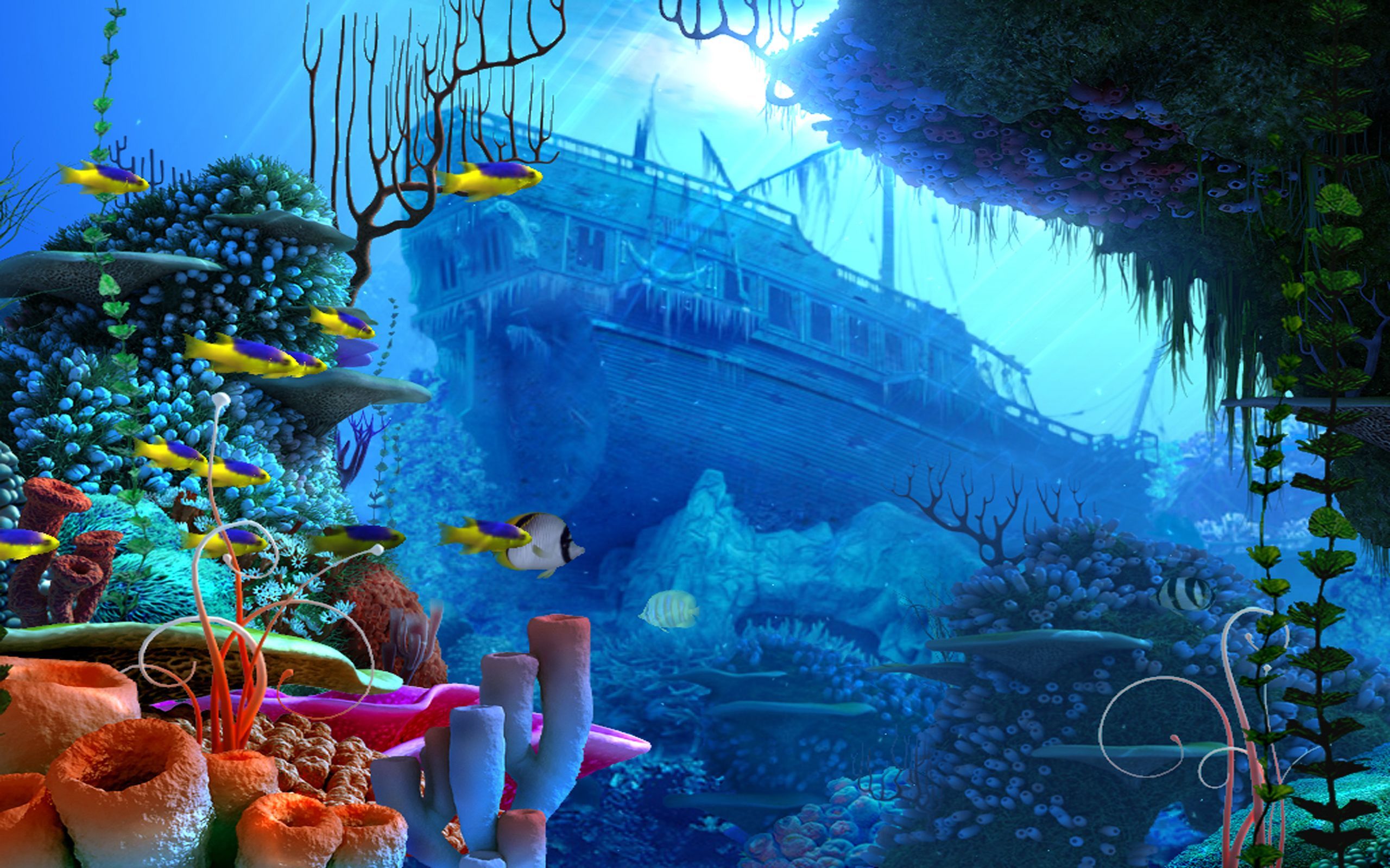 Underwater Ocean Wallpapers on WallpaperDog