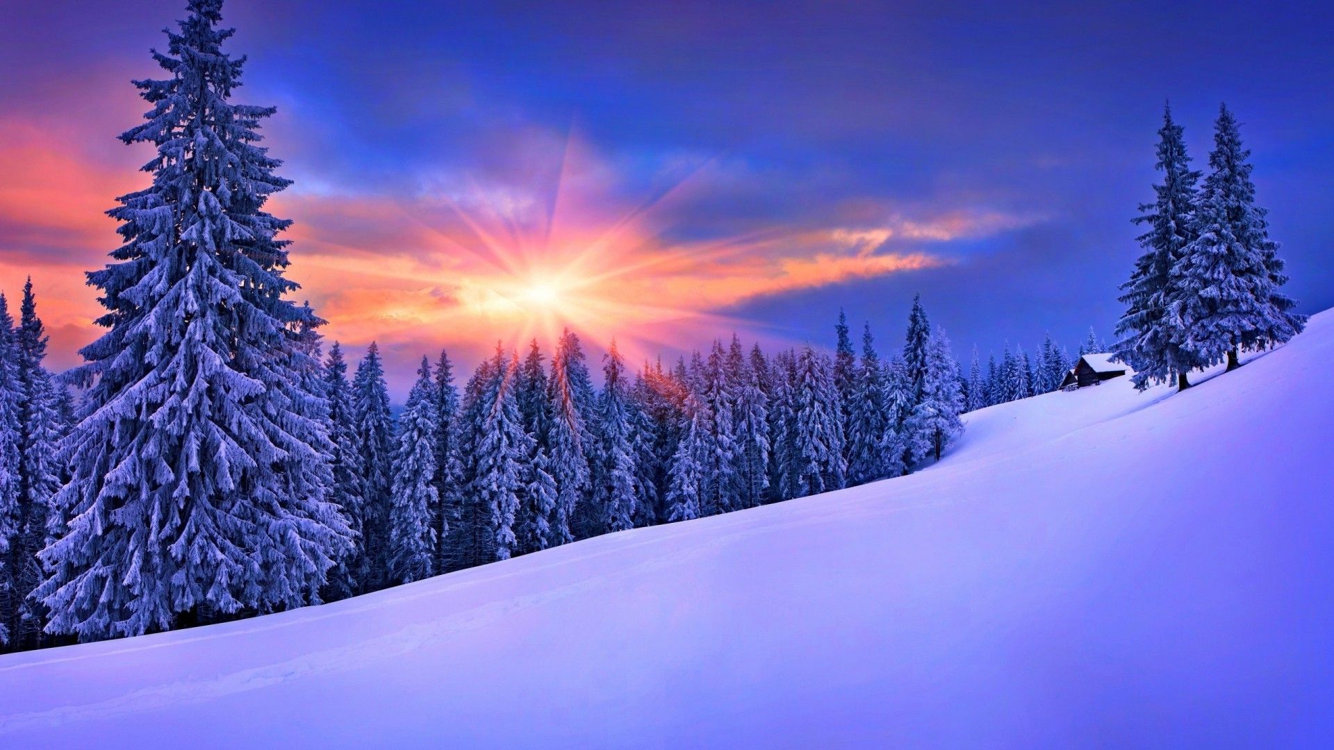 Snow Nature Wallpapers on WallpaperDog