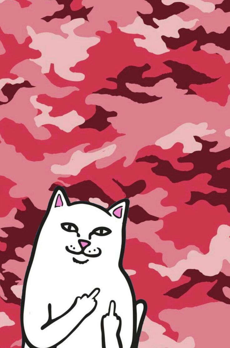 Lord Nermal Wallpapers On Wallpaperdog