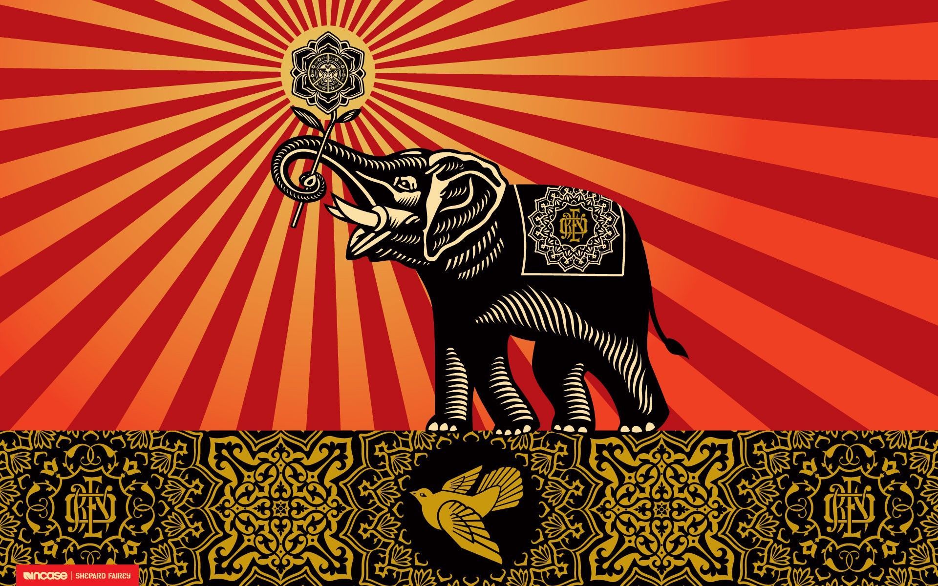 Obey Elephant Wallpapers on WallpaperDog