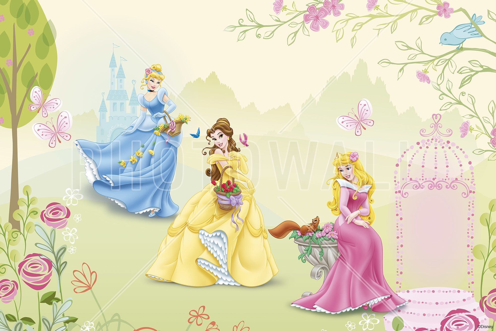 Disney Princess Belle art disney iphone collection HD wallpaper | Pxfuel
