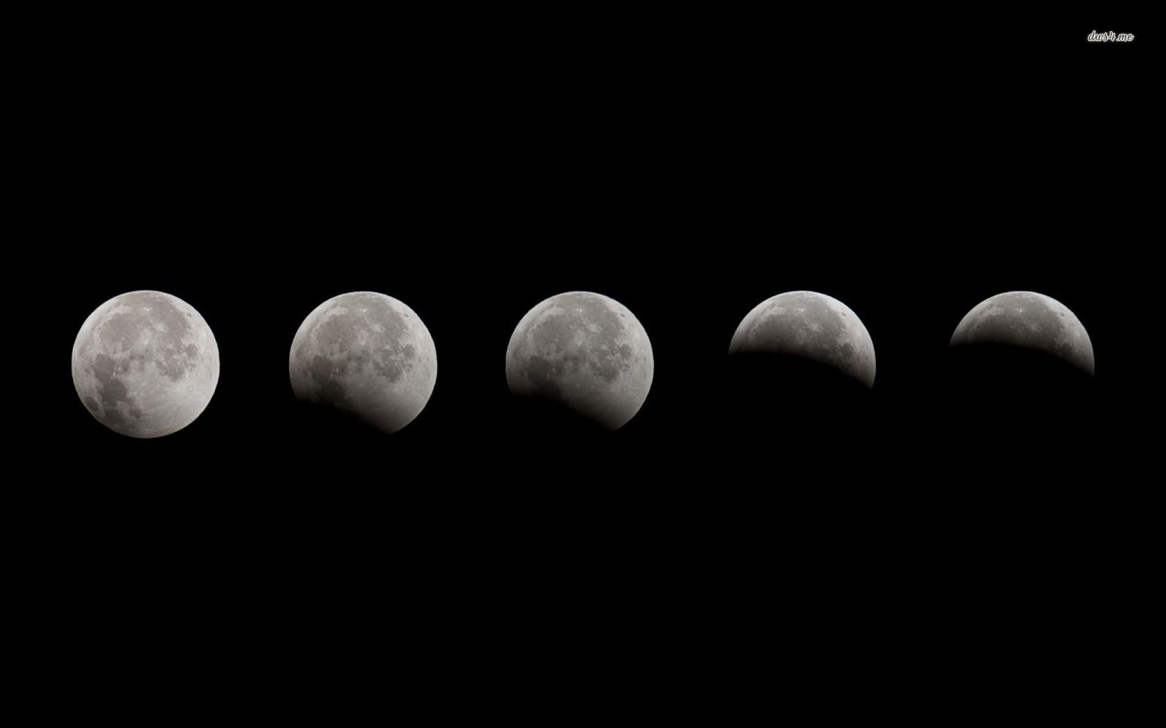 Moon Phases Images  Browse 25476 Stock Photos Vectors and Video   Adobe Stock
