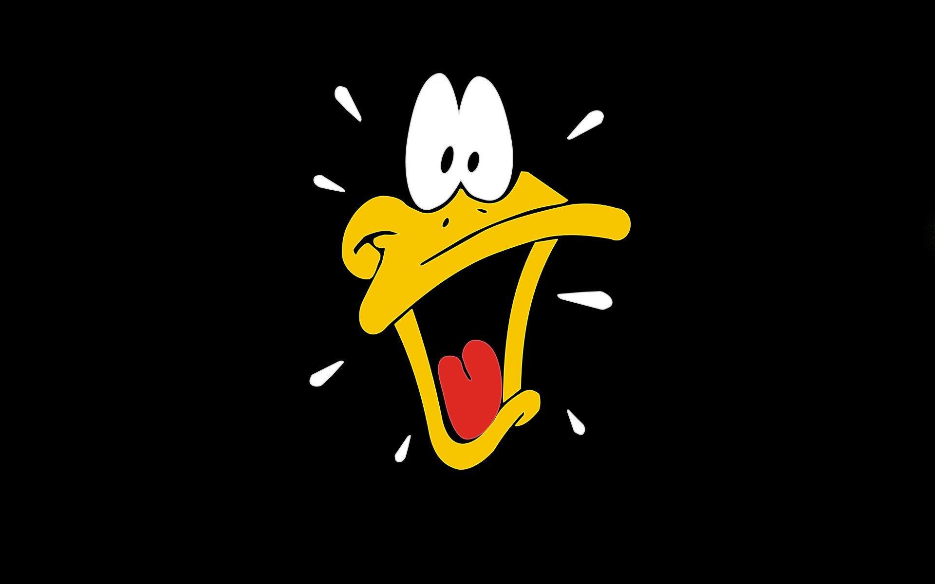 Looney Tunes Logo Wallpapers on WallpaperDog