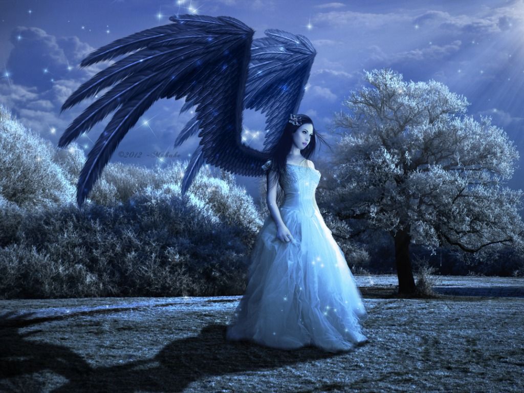 Angel Most Beautiful Wallpapers on WallpaperDog