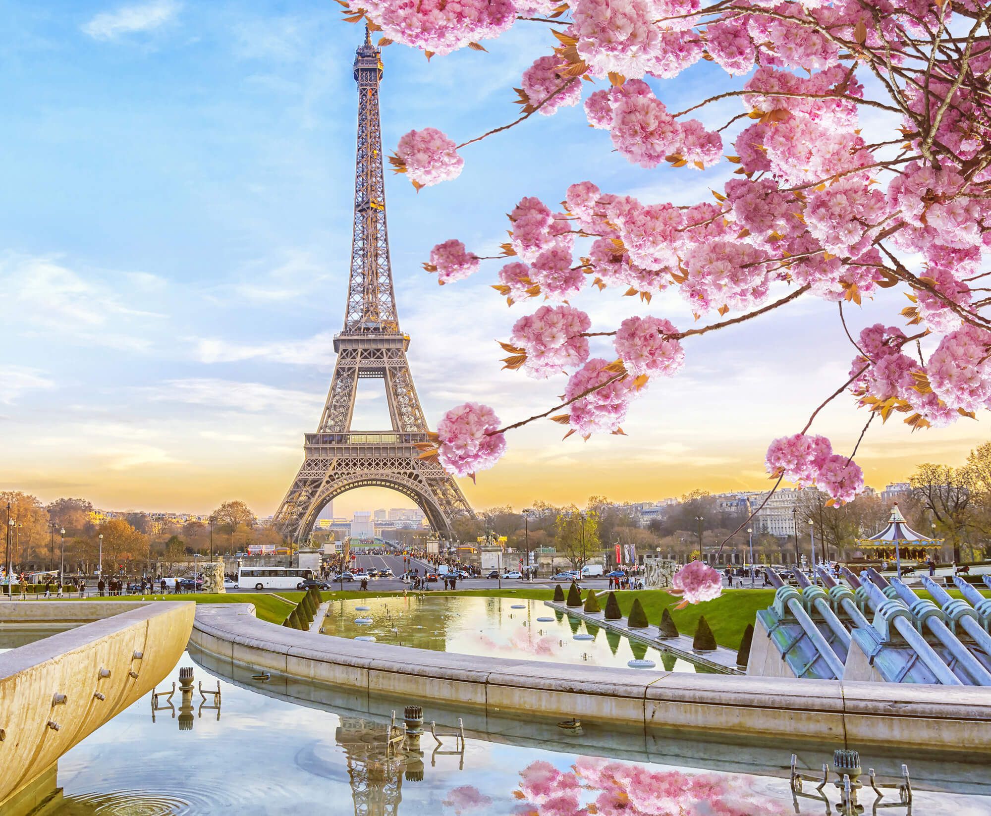 France Paris Eiffel Tower Cityscape Flowers Blossom Spring Dusk  IPhone 8 7 6 6S Plus  Background HD phone wallpaper  Pxfuel
