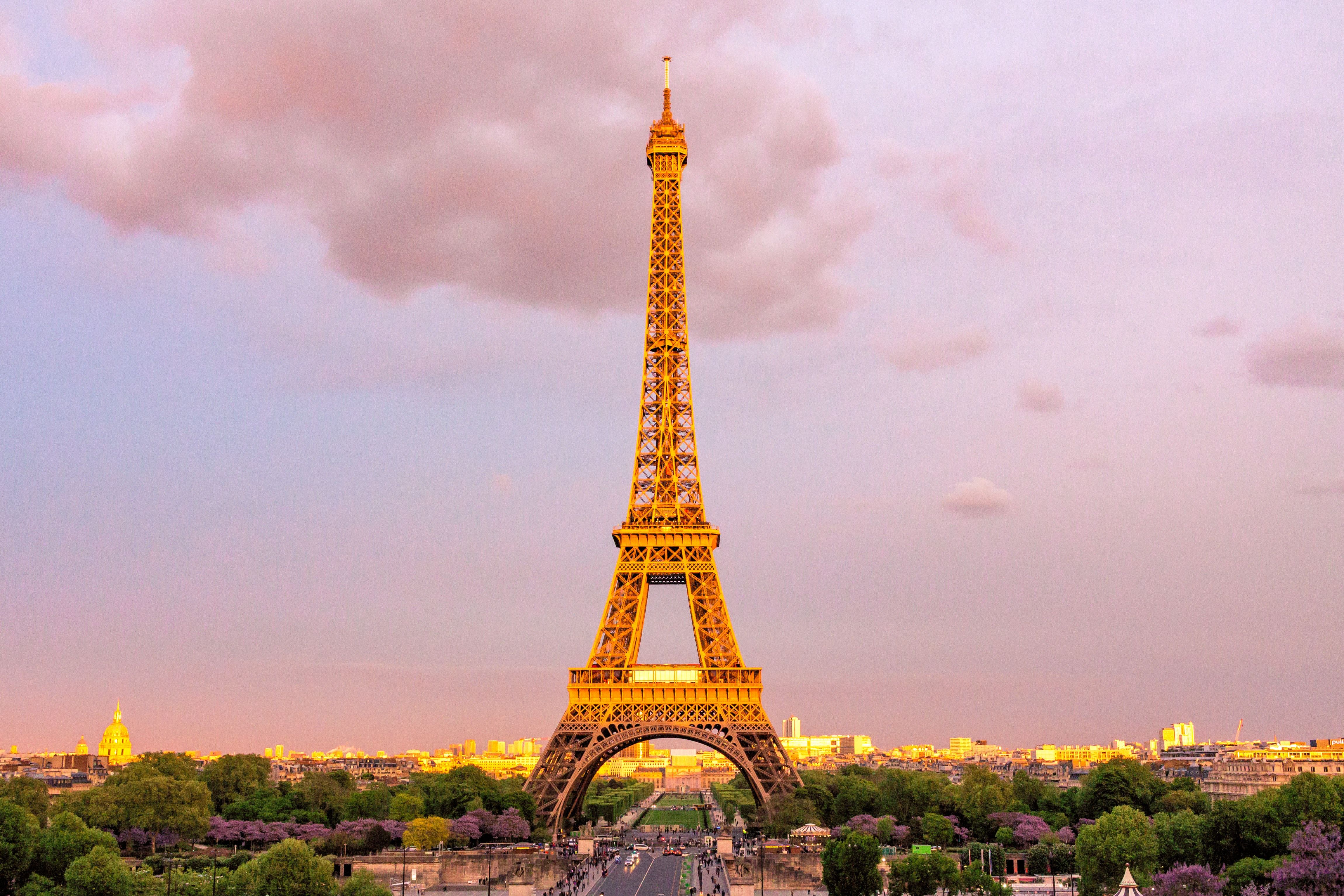 Paris Eiffel Tower Wallpaper  720x1520