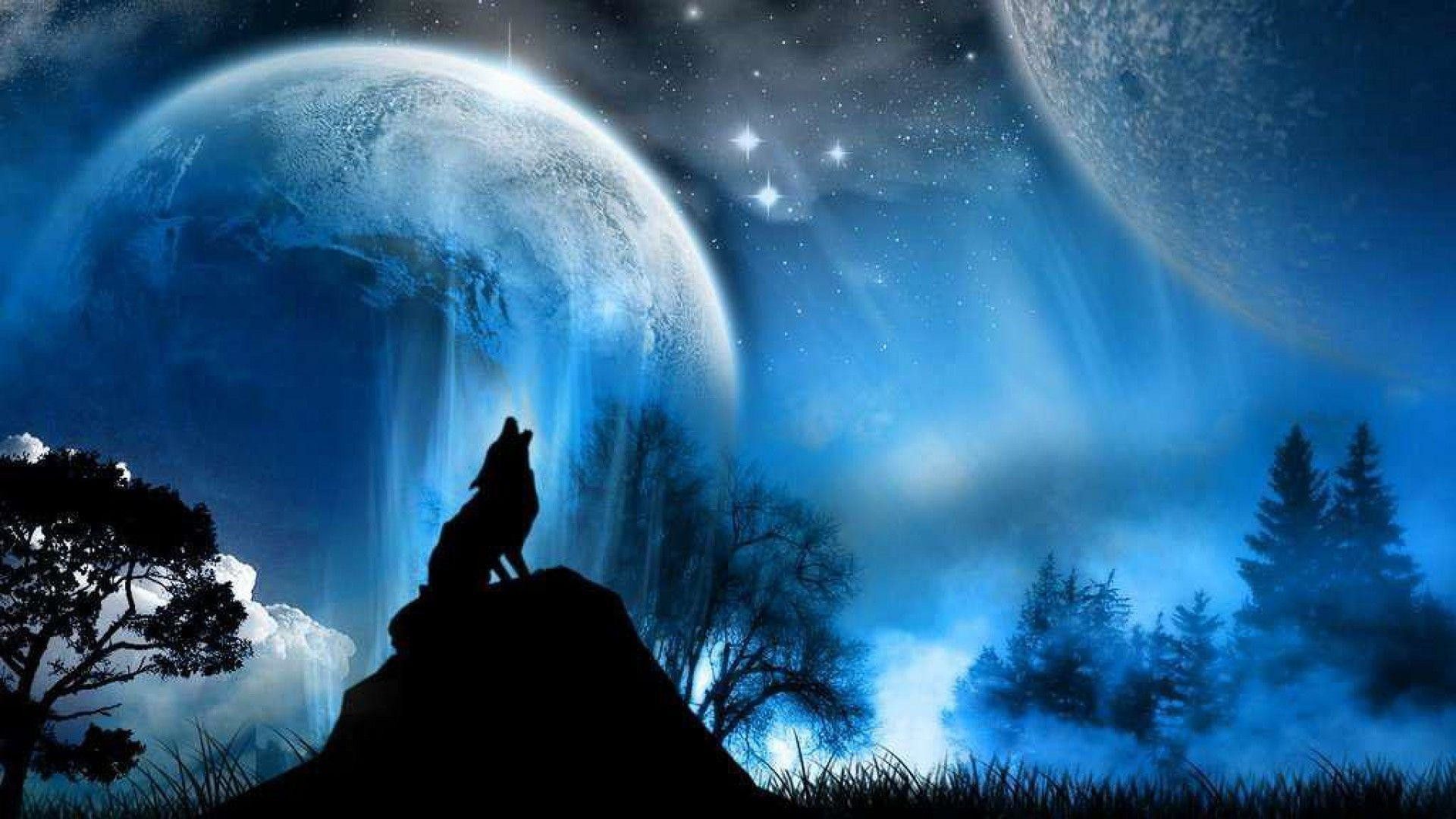 560253 1920x1080 wolf hd image - Rare Gallery HD Wallpapers
