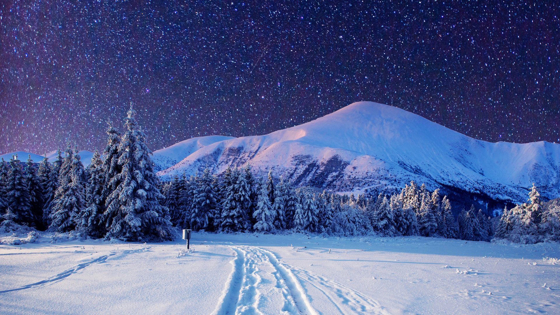 Snow Nature Wallpapers on WallpaperDog