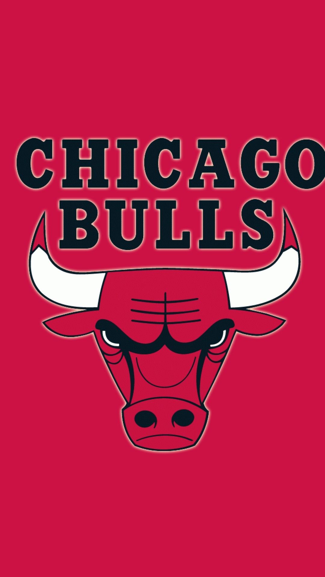23 Bulls Wallpapers on WallpaperDog