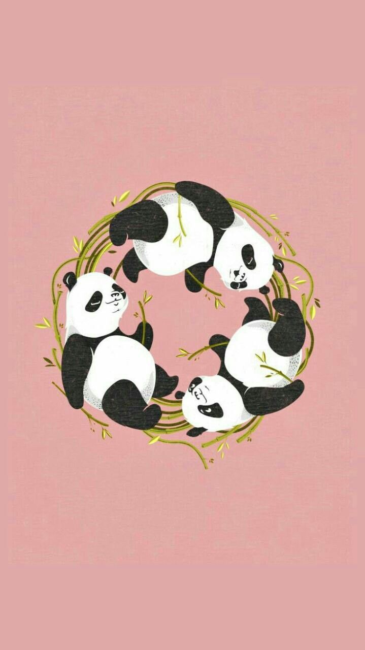 Featured image of post Iphone Wallpaper Panda Lucu Pink