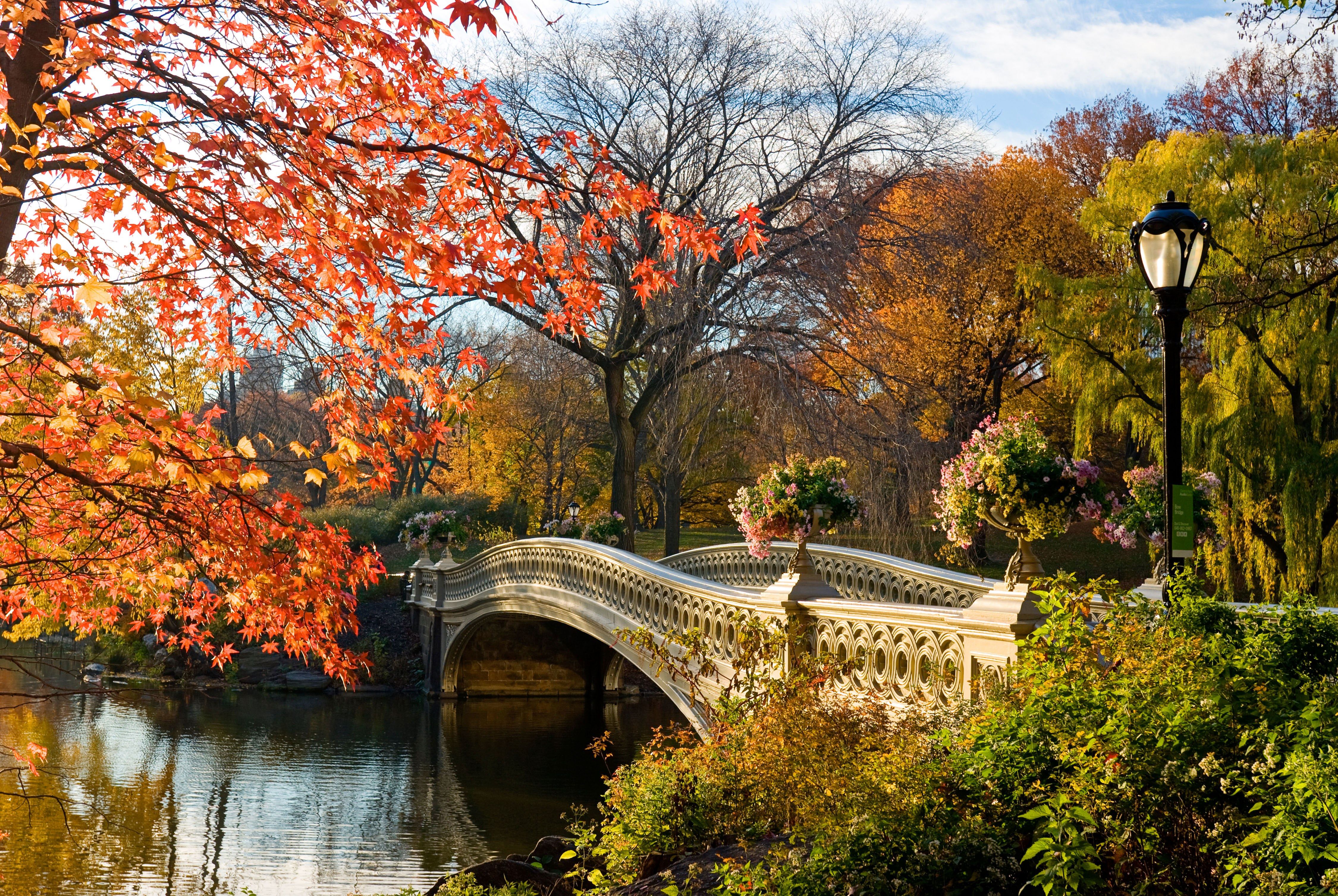 Куда осенью. Мост в централ парке Нью Йорка. Осень в Central Park в Нью-Йорке.. Центральный парк Нью-Йорк осенью. Централ парк Нью-Йорк мост осень.