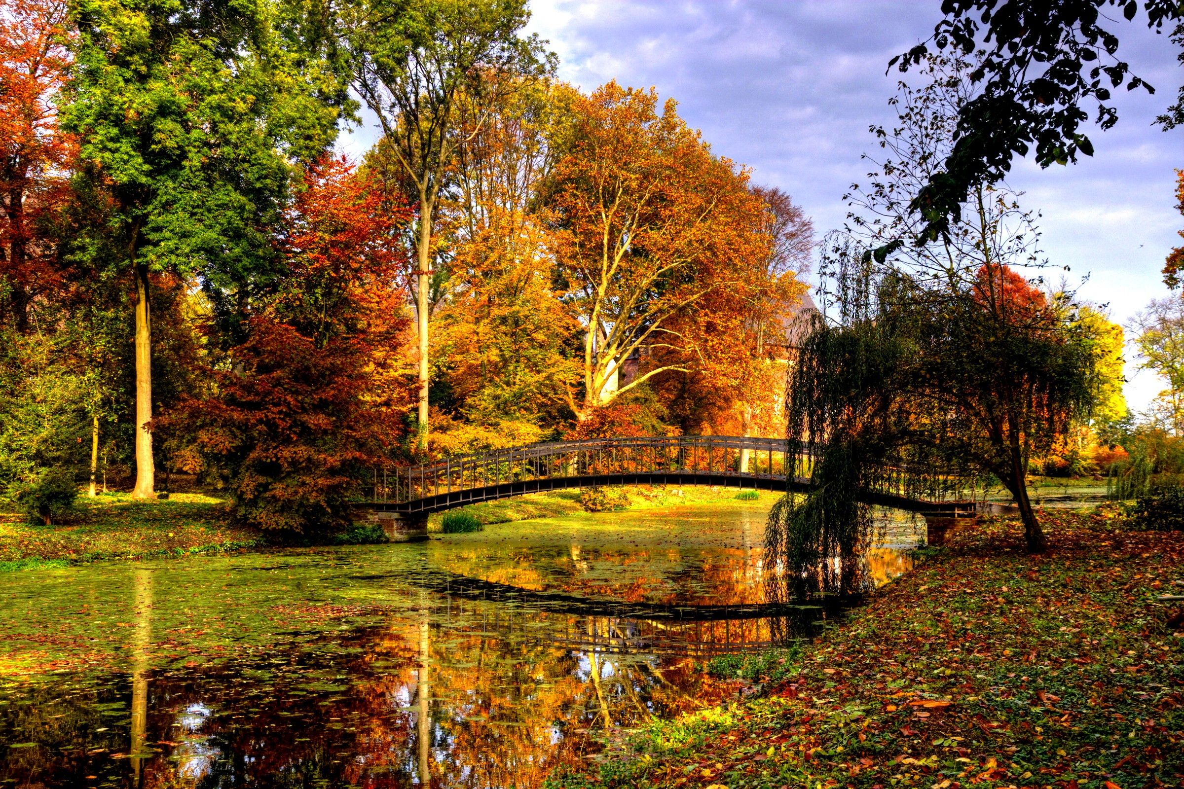 Romantic Autumn Wallpapers on WallpaperDog