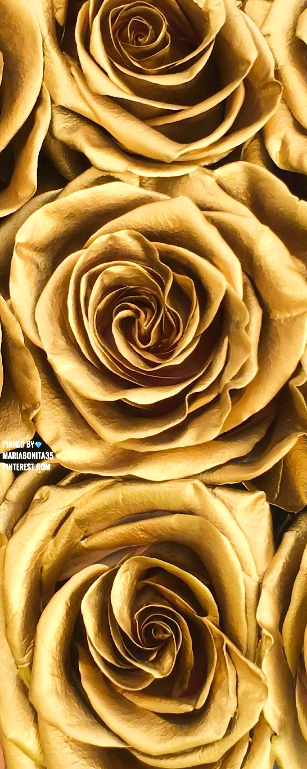 Rose Gold Aesthetic  Rose gold aesthetic Rose gold iphone Rose gold  Girl Rose Gold HD phone wallpaper  Pxfuel