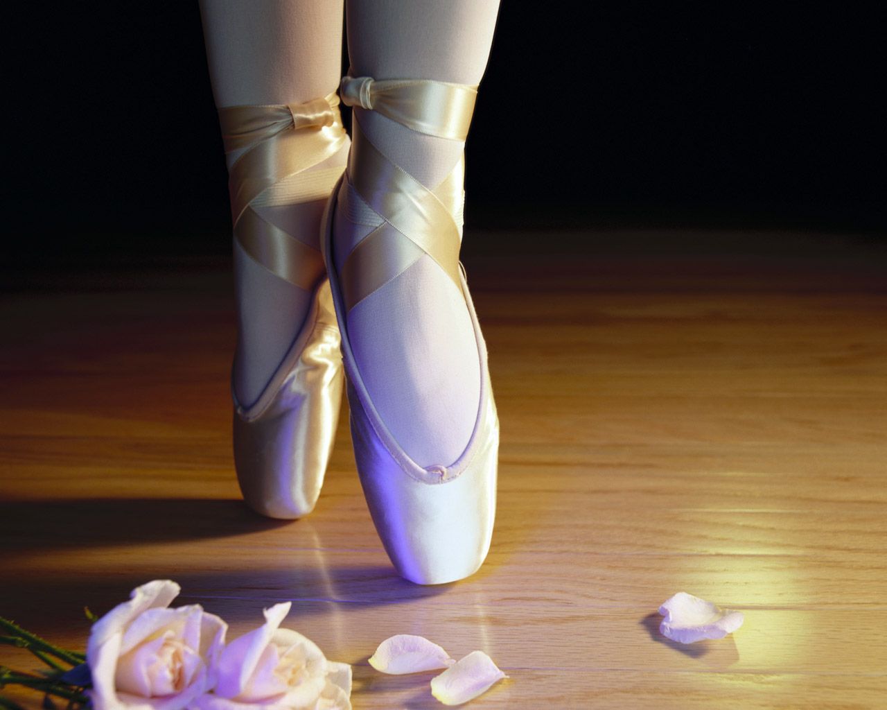 pointe shoes elastic  Yuka Kodama Ballet Group