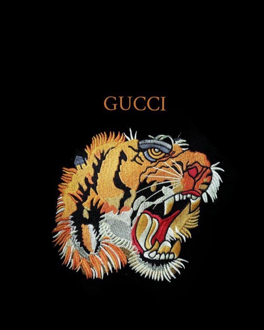 Gucci Bear Wallpapers on WallpaperDog