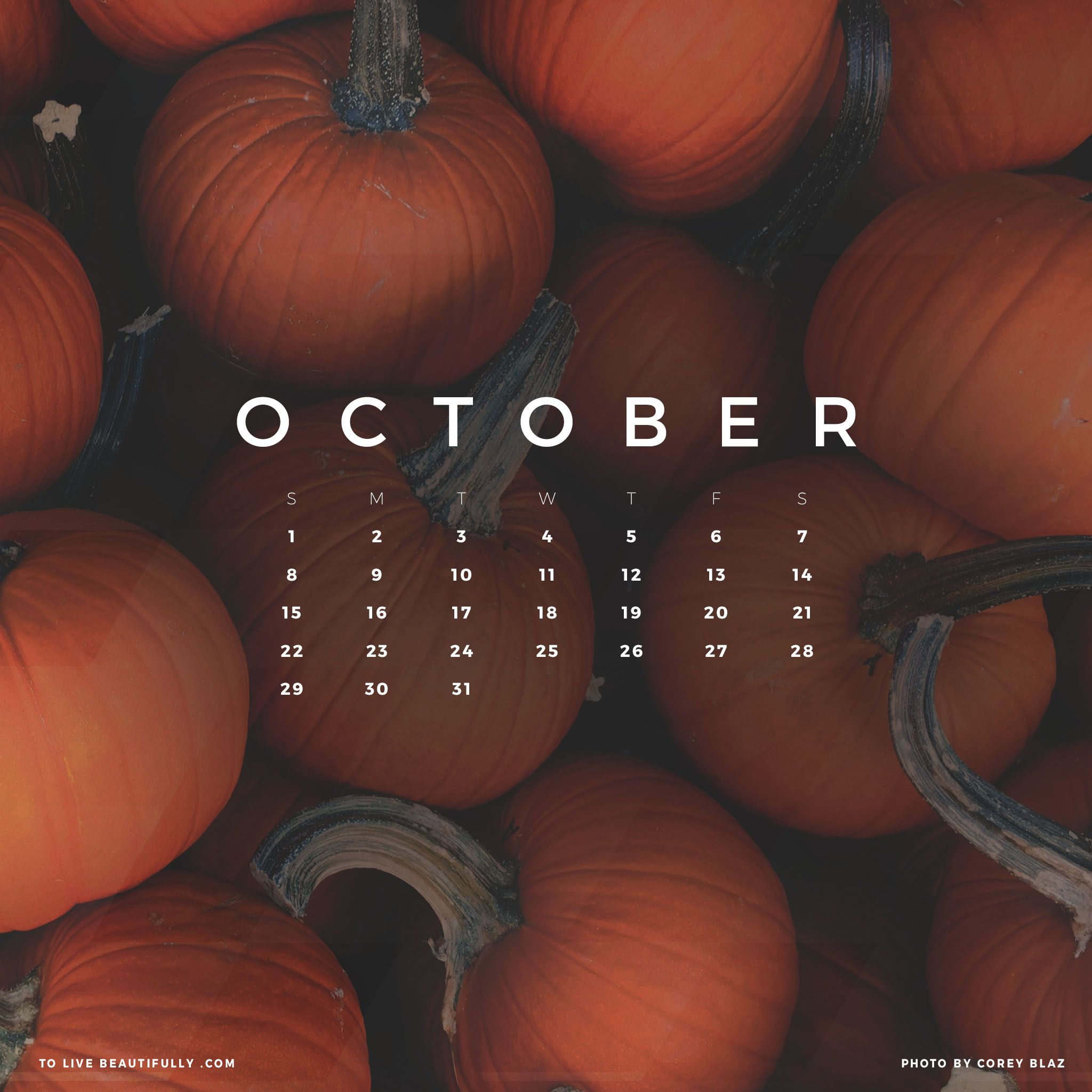 October iPhone Wallpapers on WallpaperDog