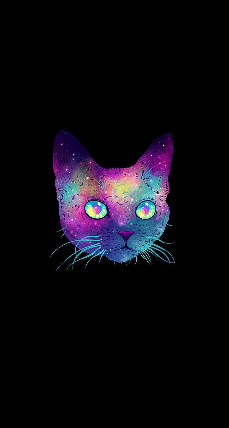 Galaxy Kitten Wallpapers on WallpaperDog