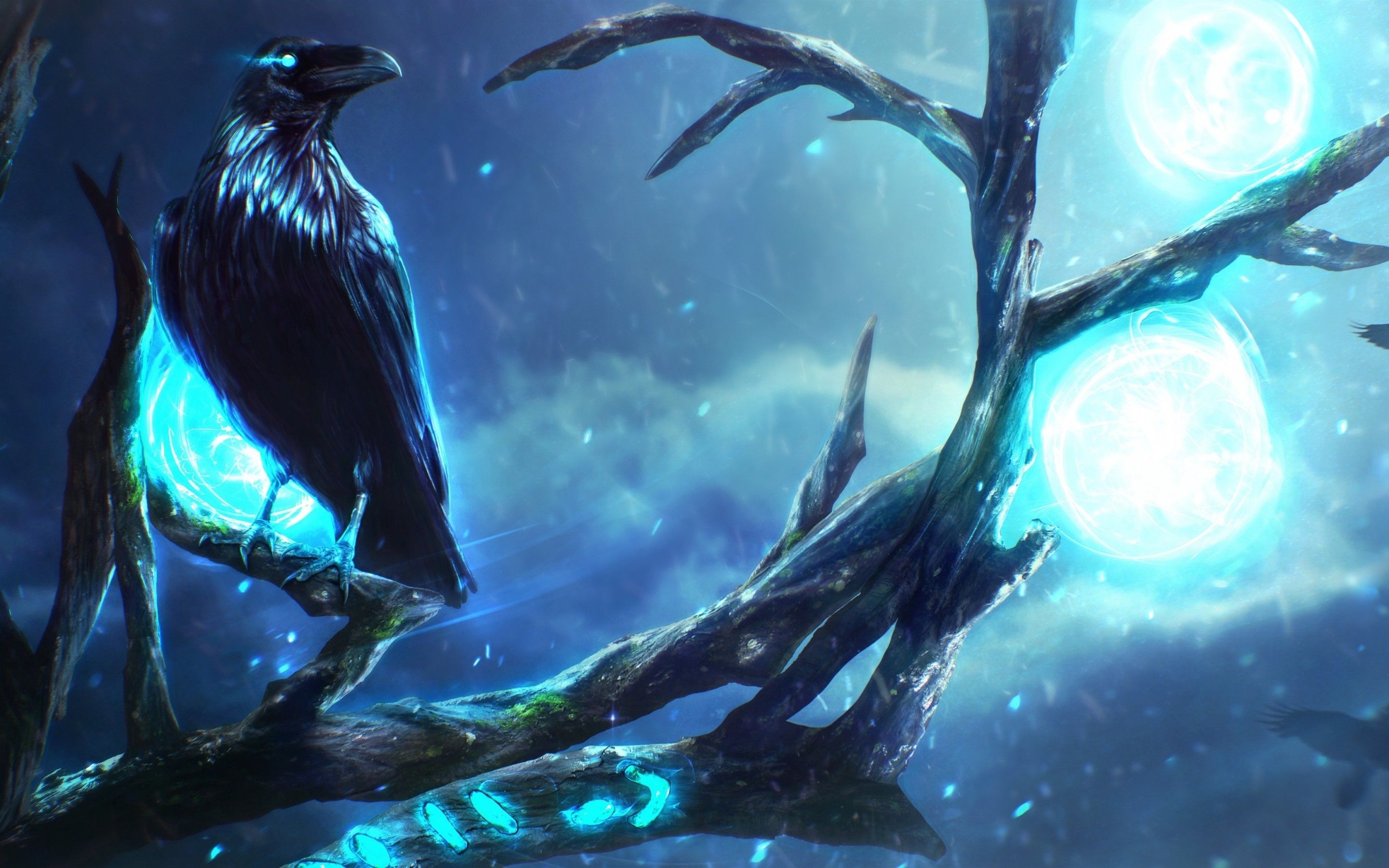 Wallpapers Collection Raven Wallpapers