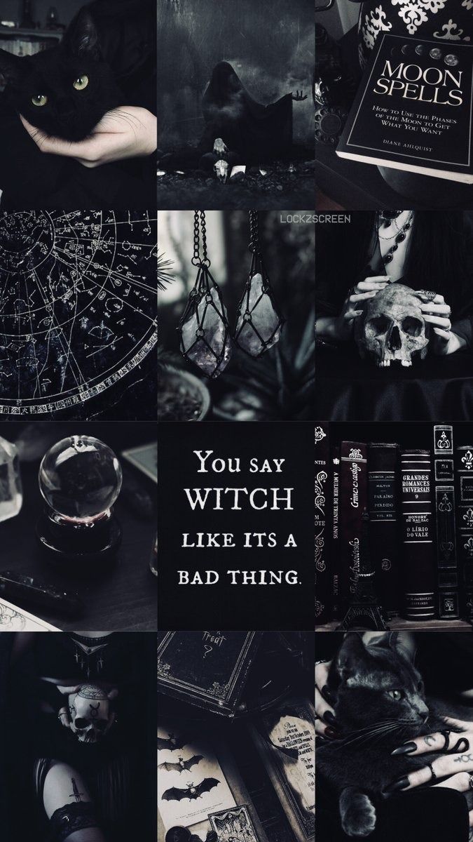 Download Several Cute Witchy Objects Wallpaper  Wallpaperscom