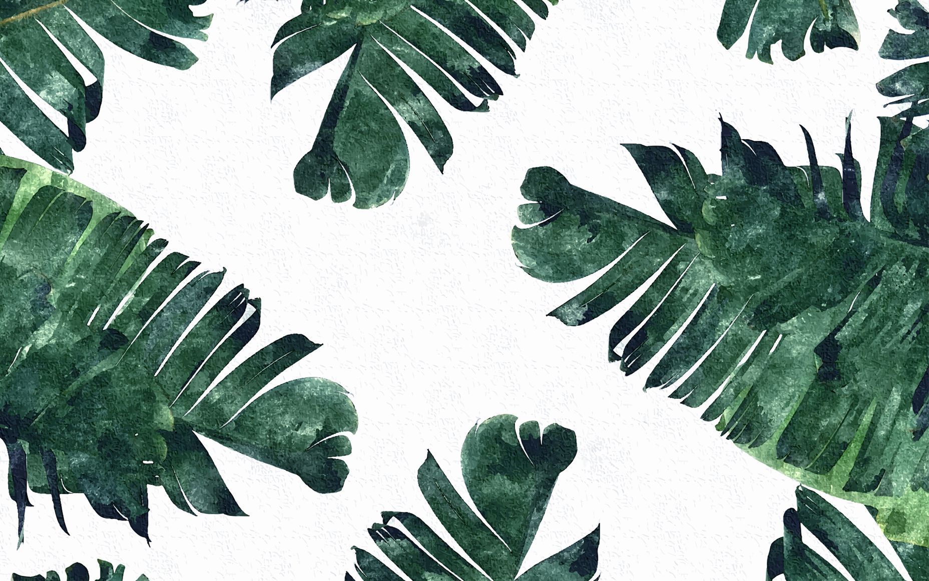 Free download Plants Wallpapers on 1200x1920 for your Desktop Mobile   Tablet  Explore 28 Simple Plant Aesthetic Wallpapers  Tropical Plant  Wallpaper Plant Background Plant Wallpaper