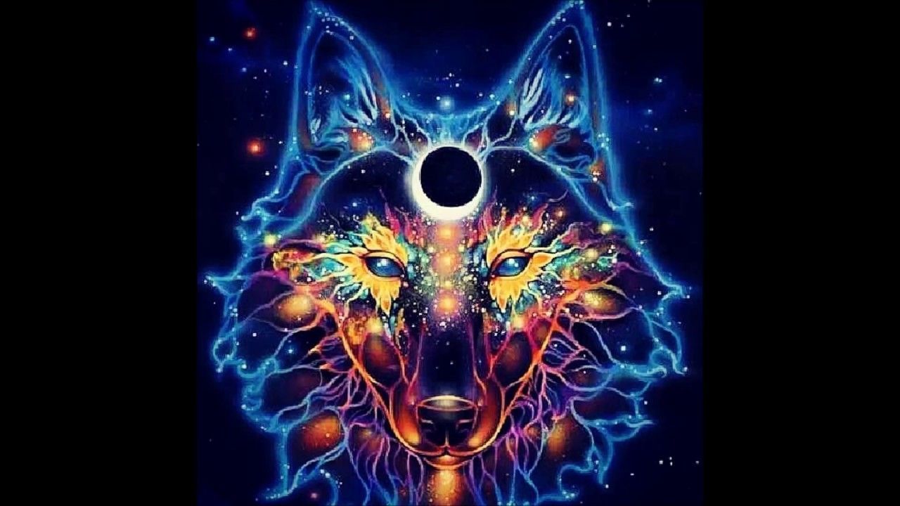 Trippy Wolf Wallpapers on WallpaperDog