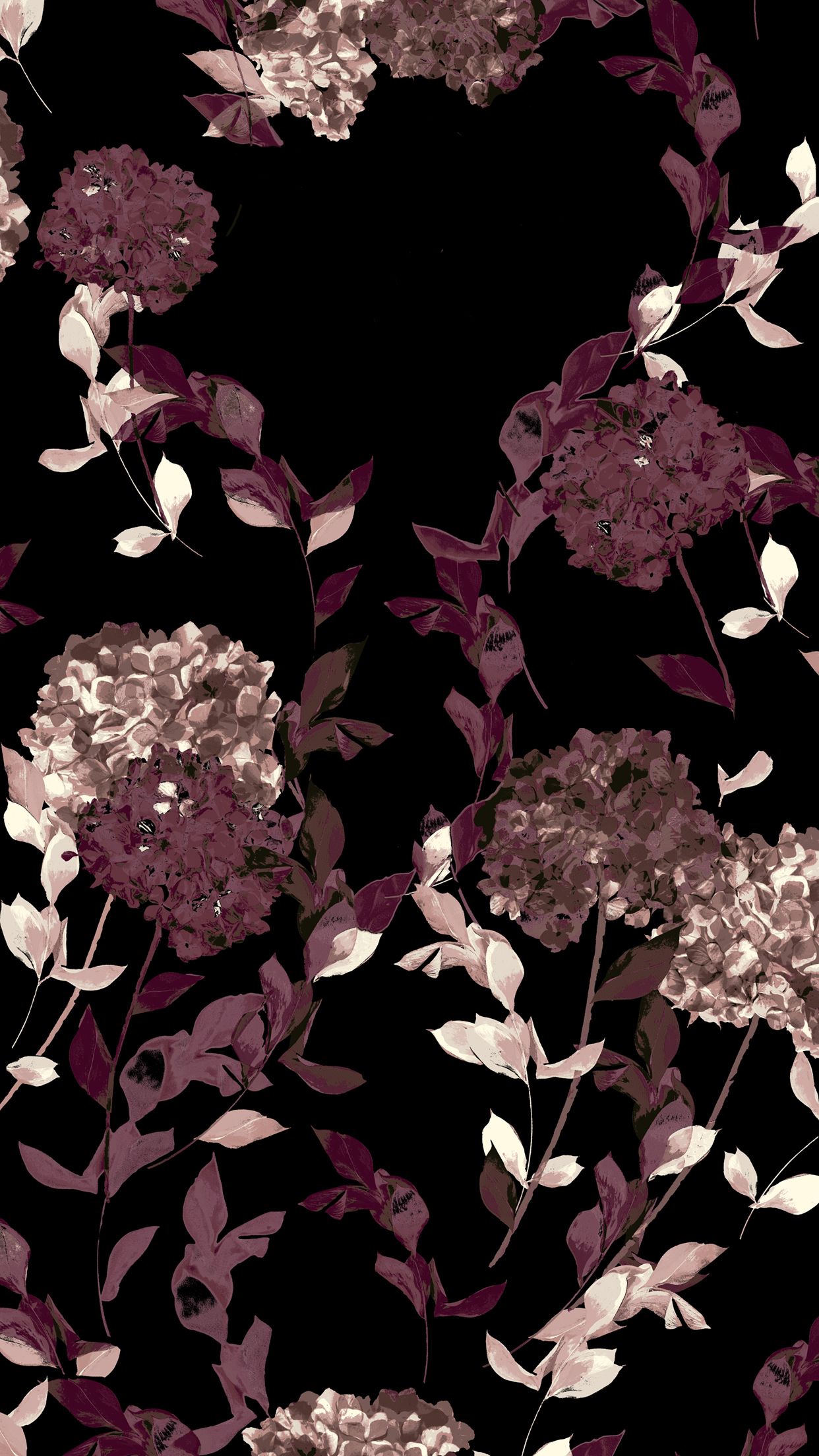 Floral Black Wallpapers on WallpaperDog