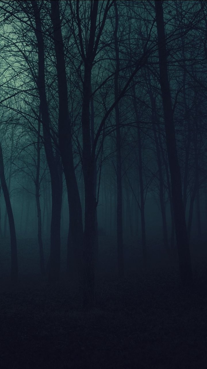 Dark Forest Background Images HD Pictures and Wallpaper For Free Download   Pngtree