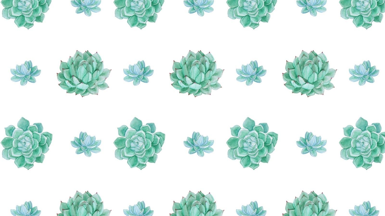 Featured image of post Minimalist Succulent Desktop Wallpaper - Download hd wallpapers for free on unsplash.