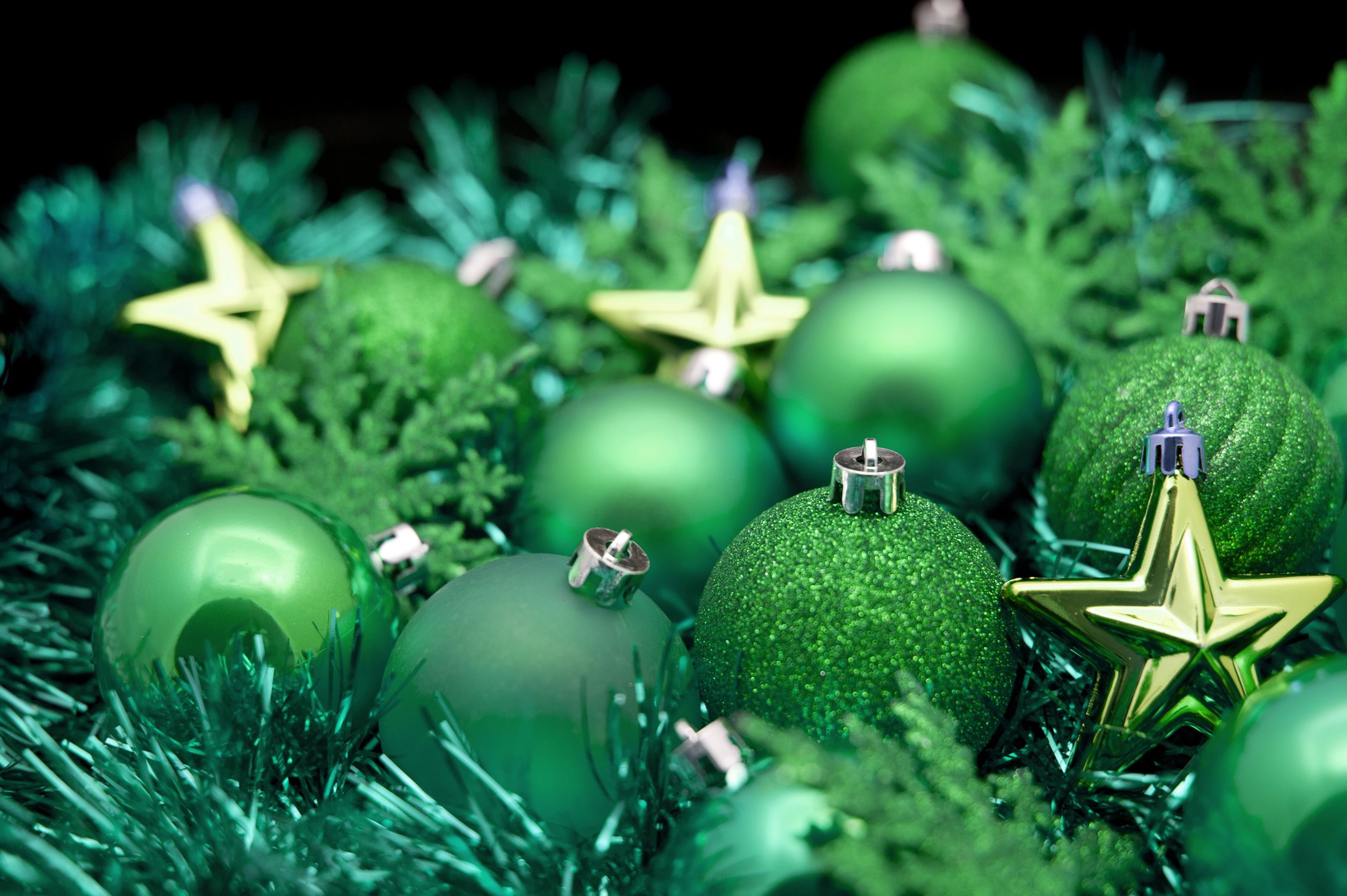 Green Holiday Wallpapers on WallpaperDog