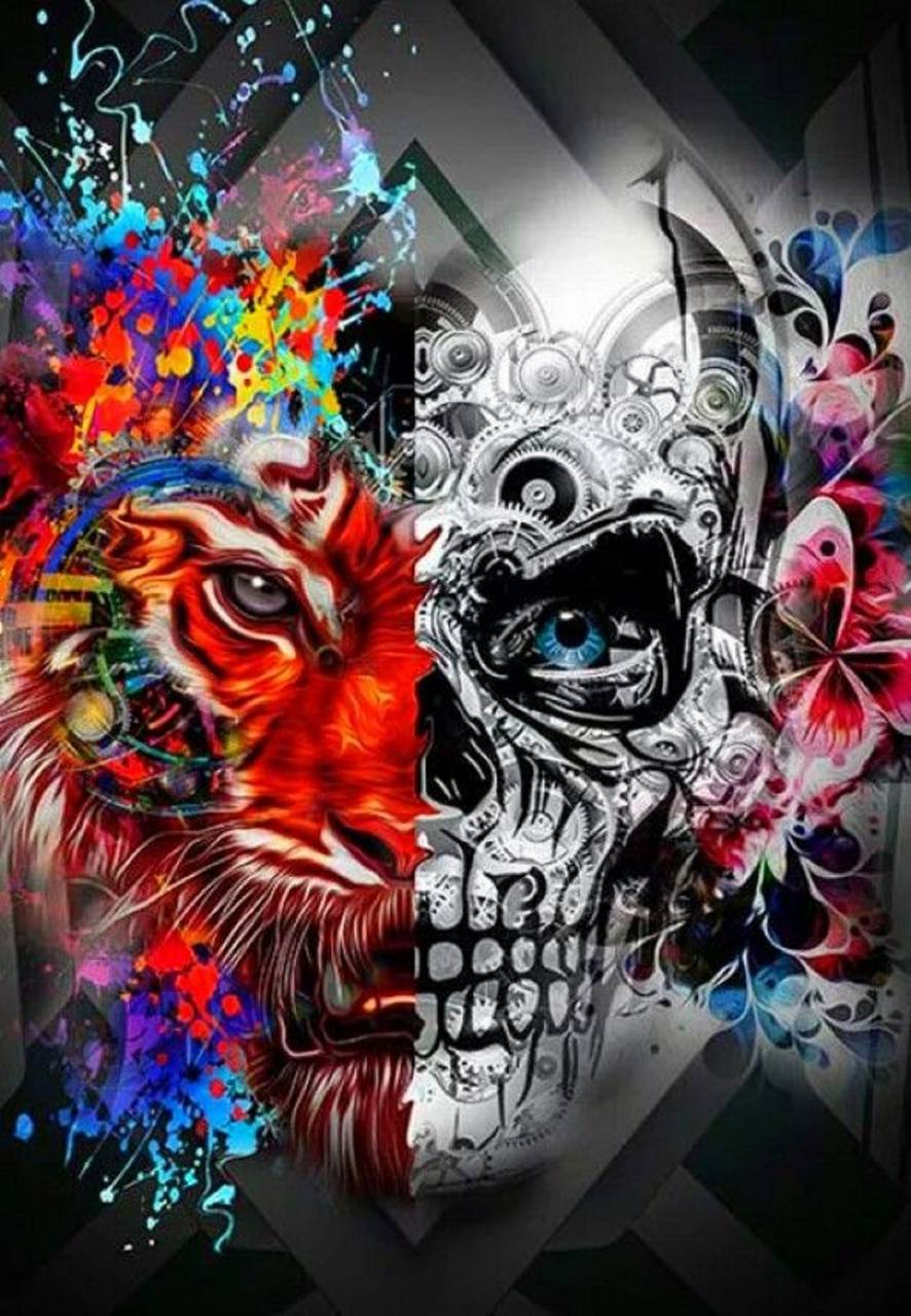 graffiti wallpaper skull hd