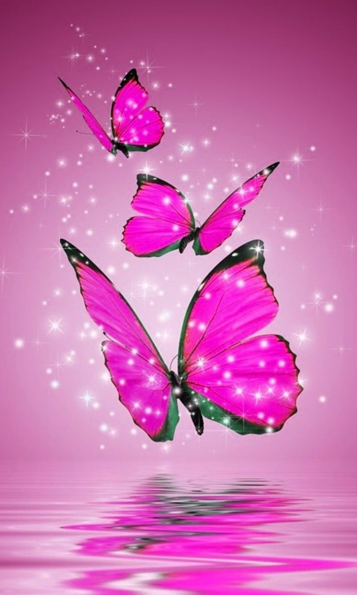 Butterfly Phone Wallpapers on WallpaperDog