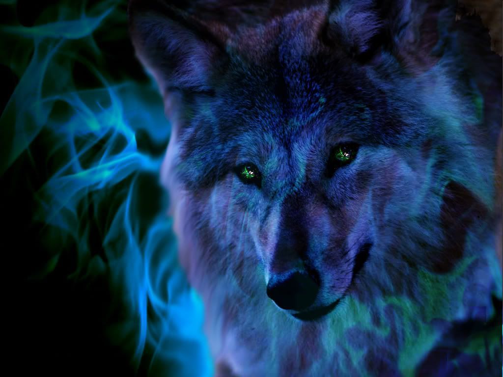 Spirit Wolf Wallpapers - Top Free Spirit Wolf Backgrounds - WallpaperAccess