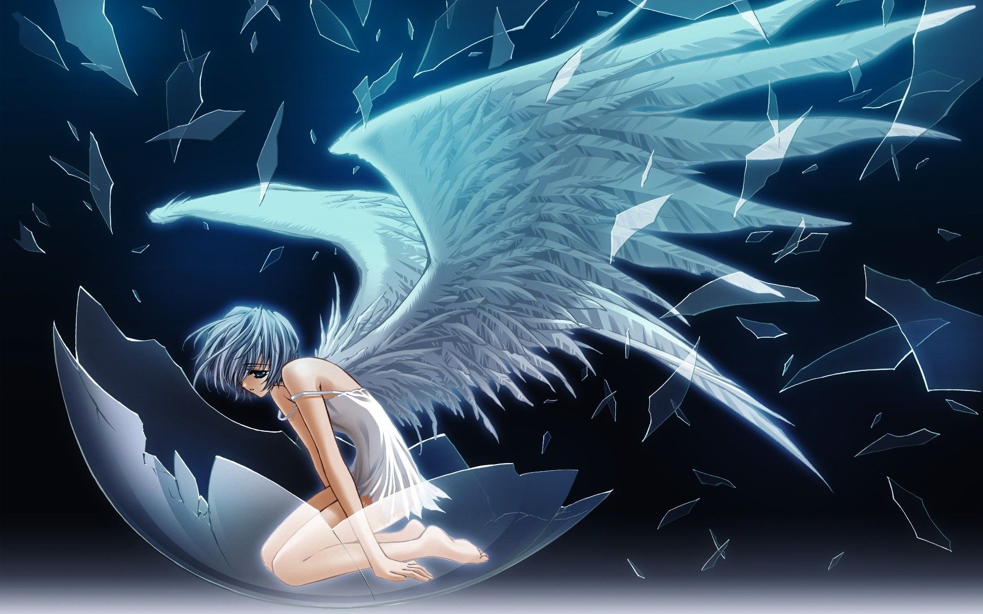 Anime Boy Angel Wallpaper Hd Wallpapers Anime Angel Wallpaper  แฟนไทย