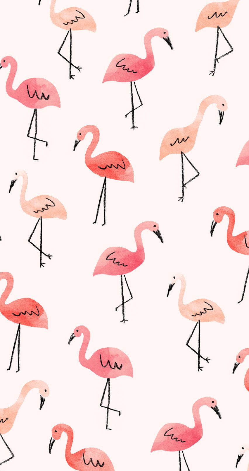 Cute Flamingo Wallpapers on WallpaperDog